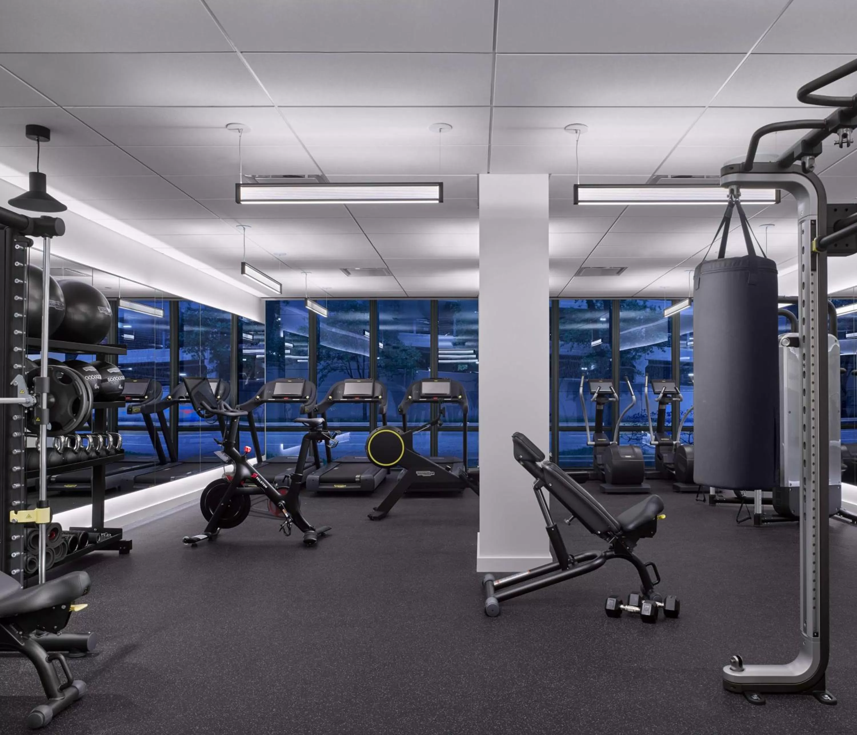 Fitness centre/facilities in C. Baldwin, Curio Collection by Hilton