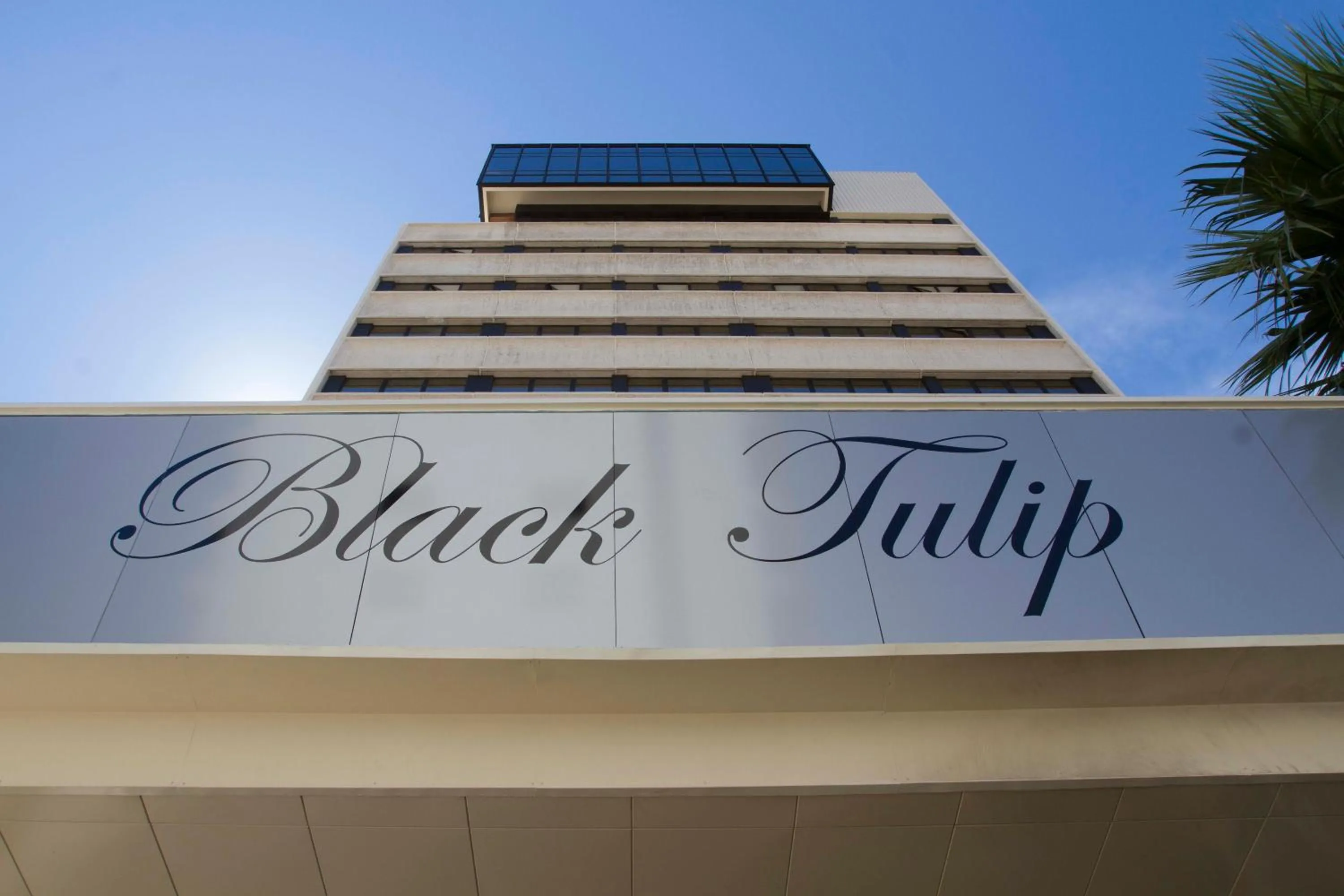Facade/entrance in Hotel Black Tulip - Porto Gaia