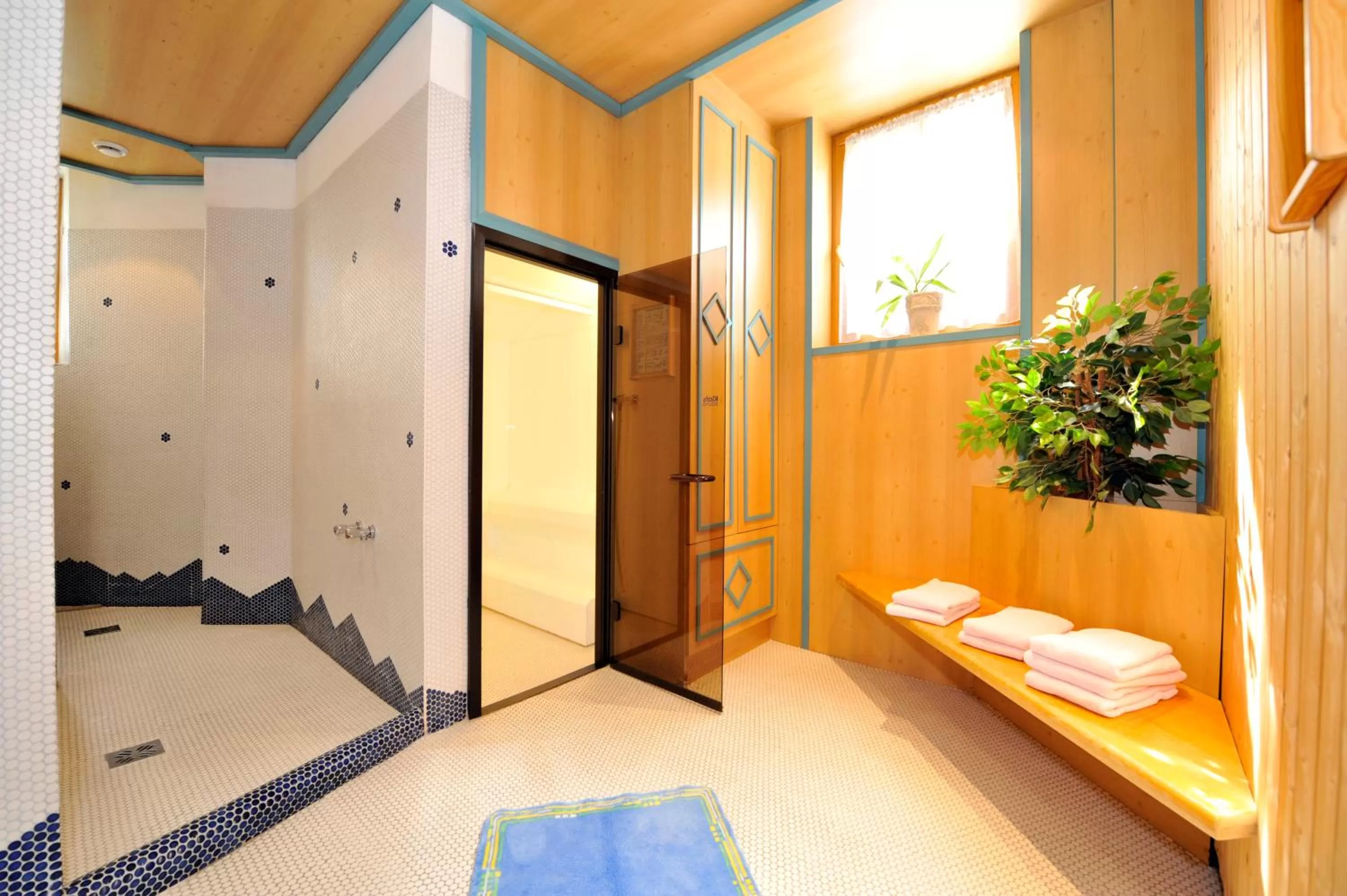 Spa and wellness centre/facilities in Hotel-Restaurant Schwaiger***