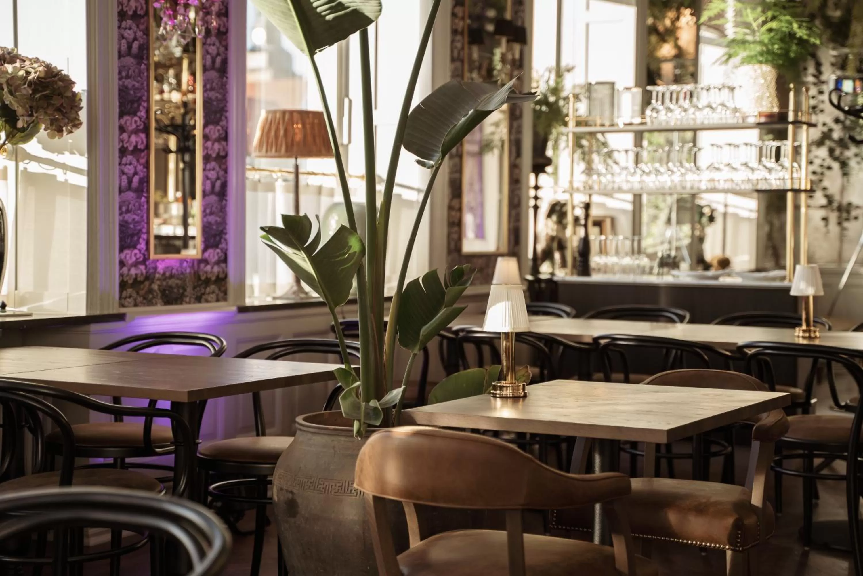 Restaurant/places to eat in Continental du Sud