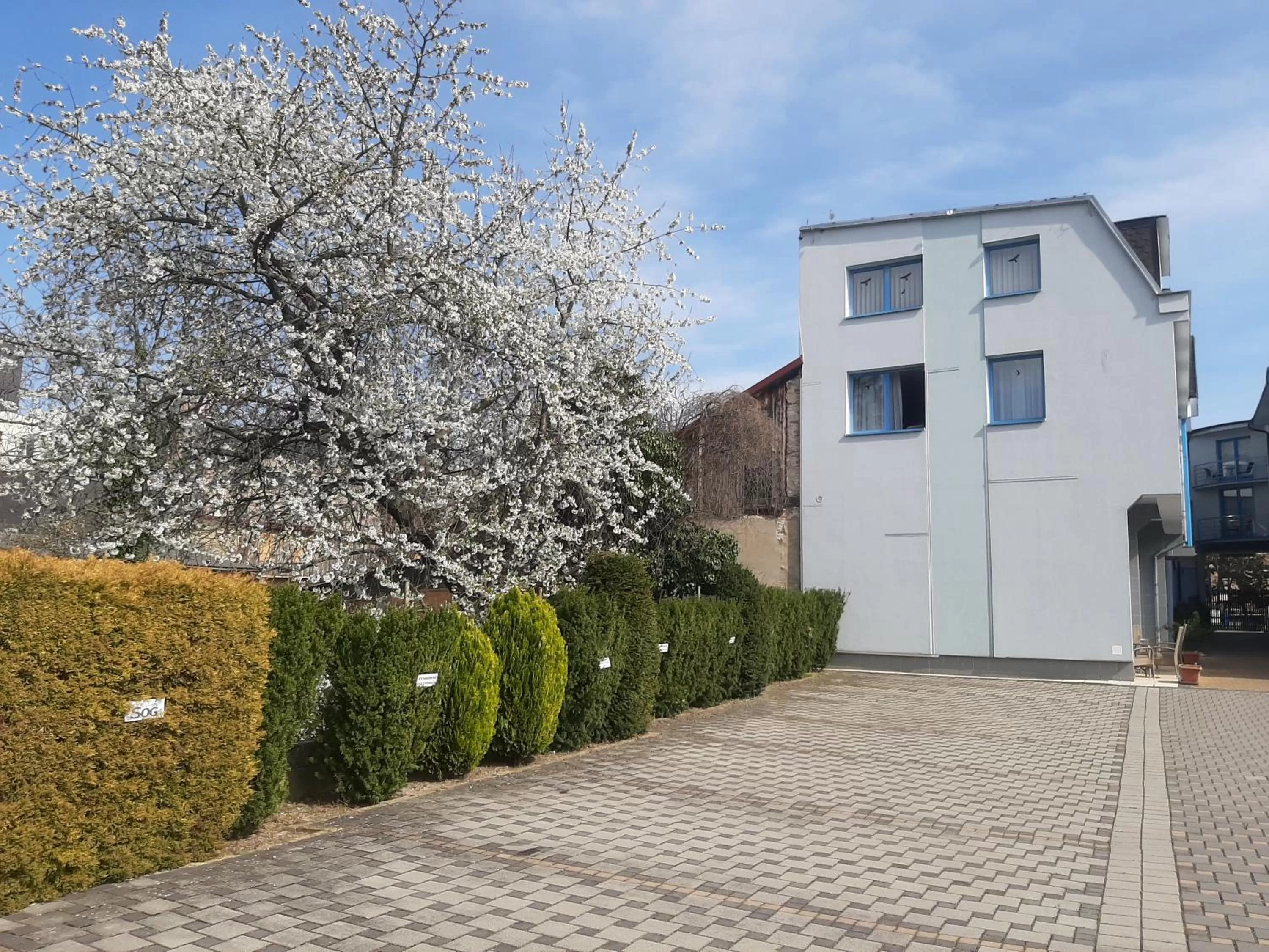 Property Building in garni Hotel S.O.G.* * *