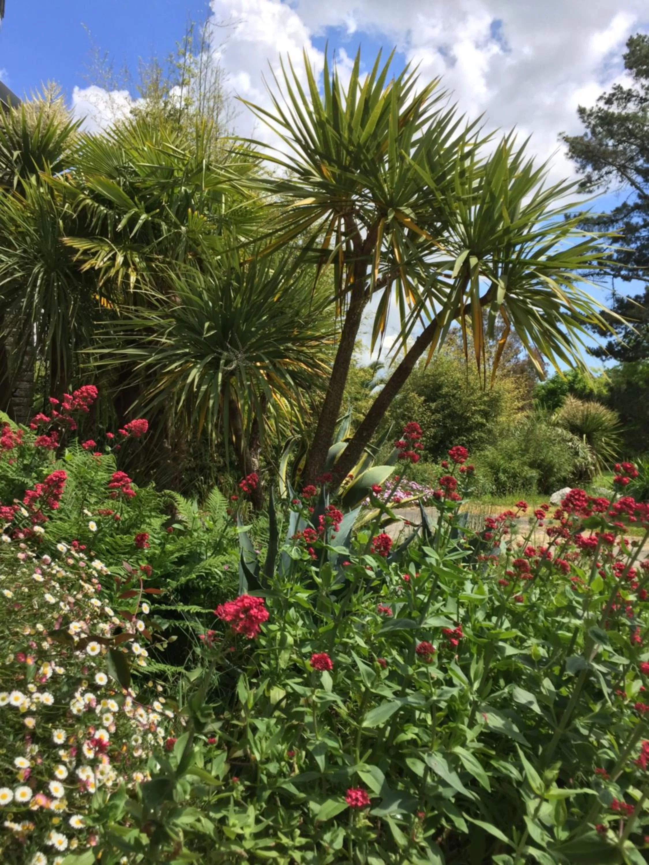 Garden in Les 3 Koïs