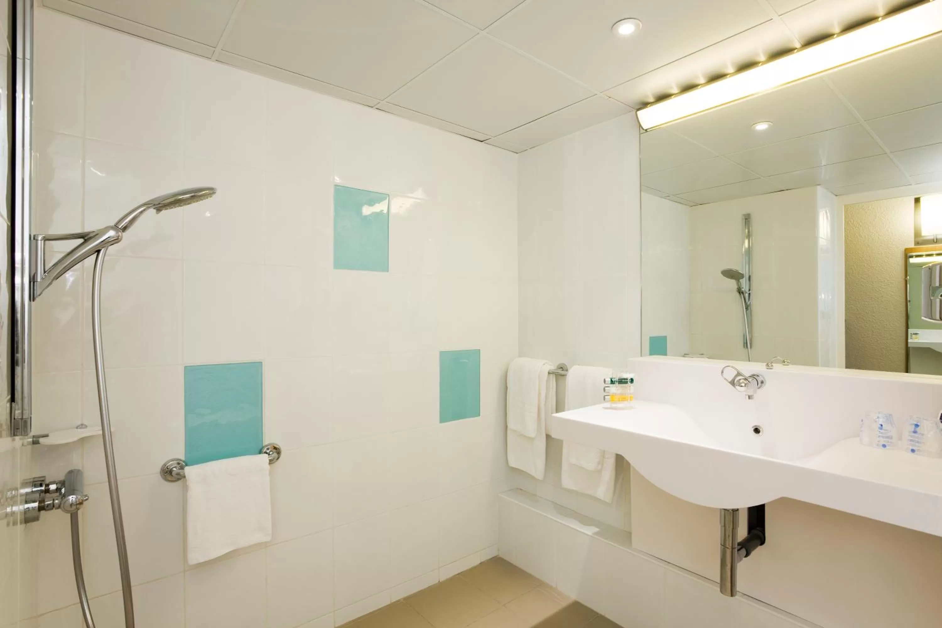 Standard Double Room with 1 Double Bed in Novotel Nice Aéroport Cap 3000