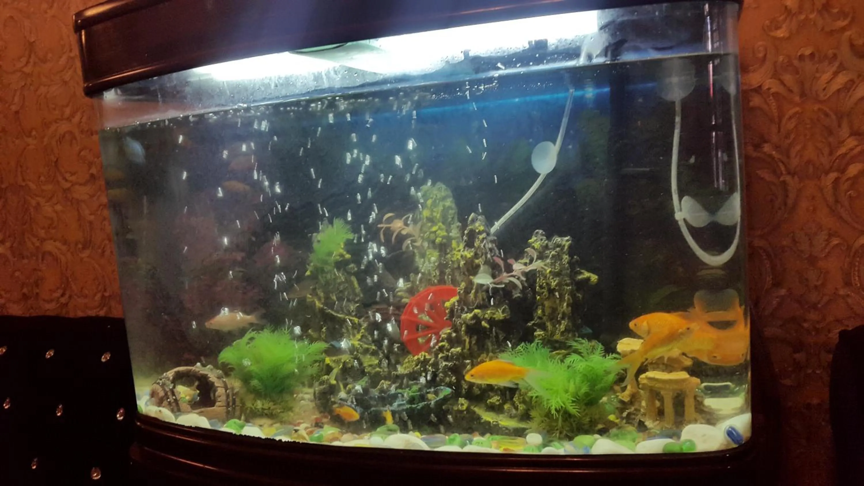 Lobby or reception in AL Raien Hotel Apartment