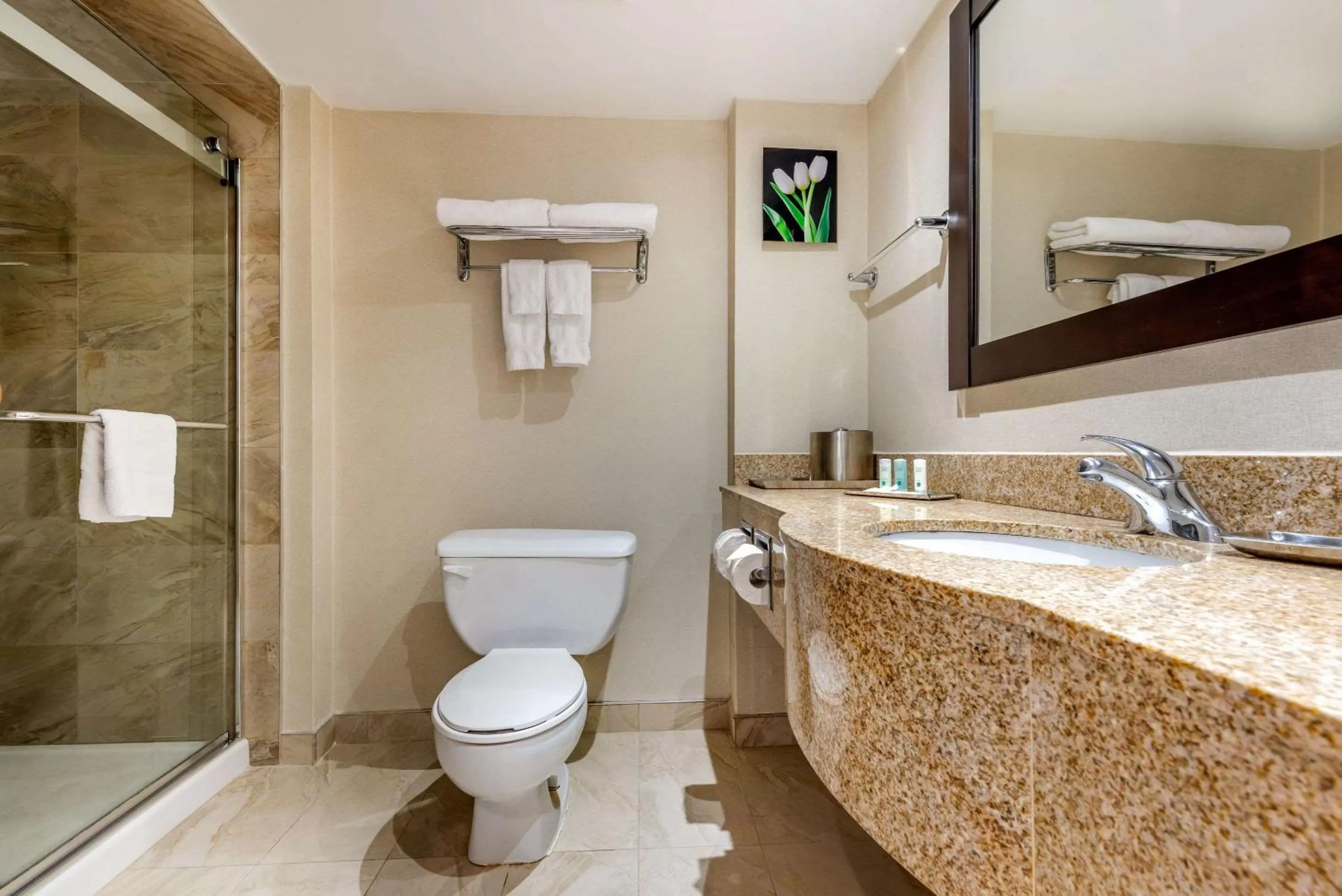 Photo of the whole room in Quality Inn & Suites