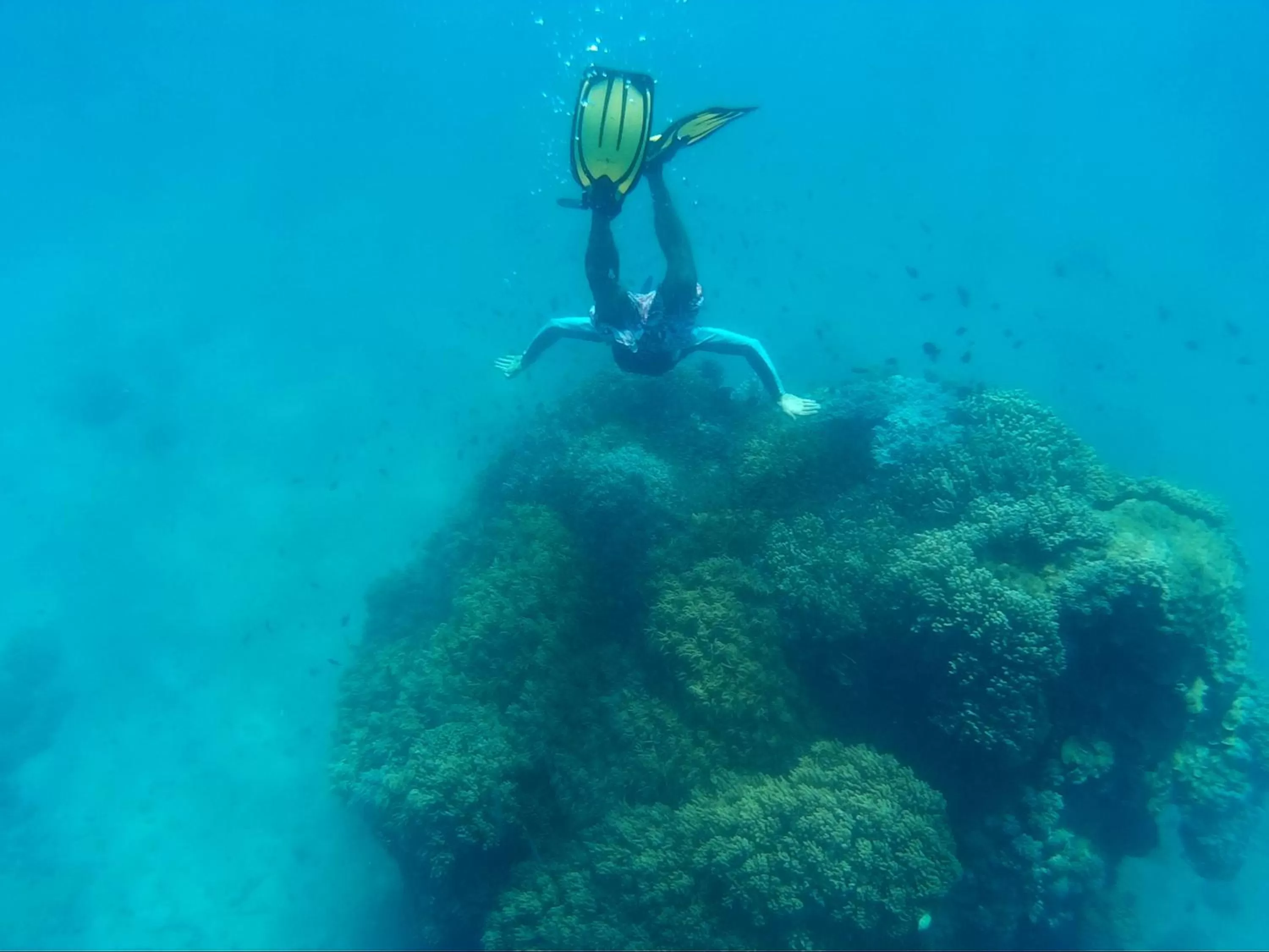 Snorkeling in Paseo Del Mar Seaside Inn