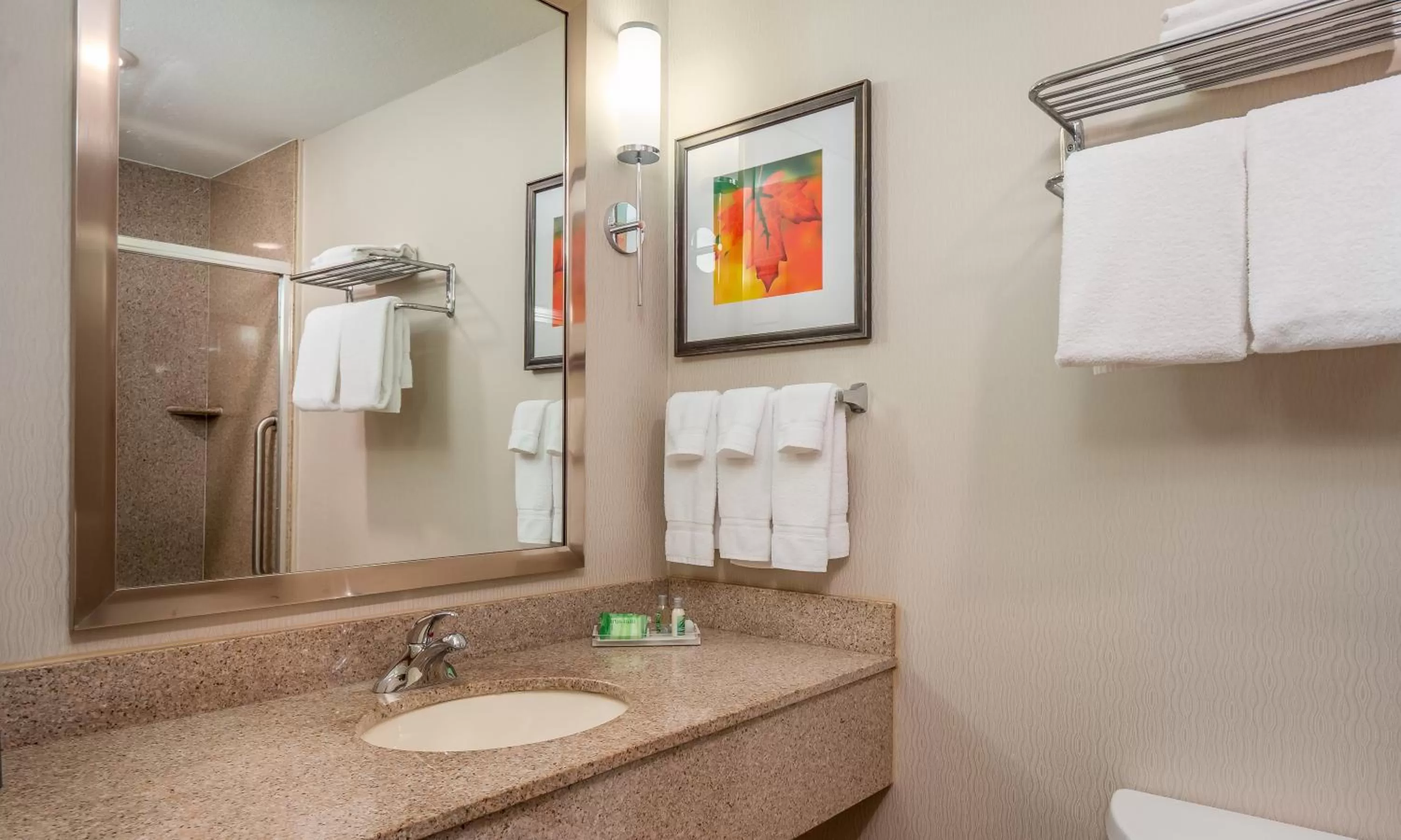 Bathroom in Holiday Inn Stevens Point - Convention Center by IHG