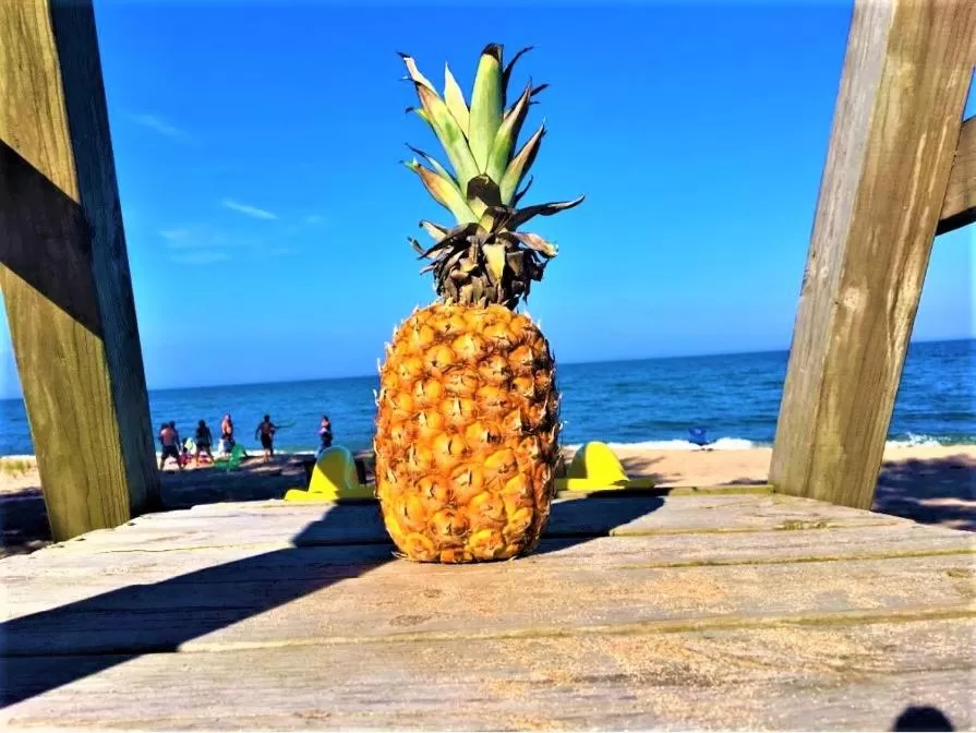 Day in Gold Coast Family Cottages