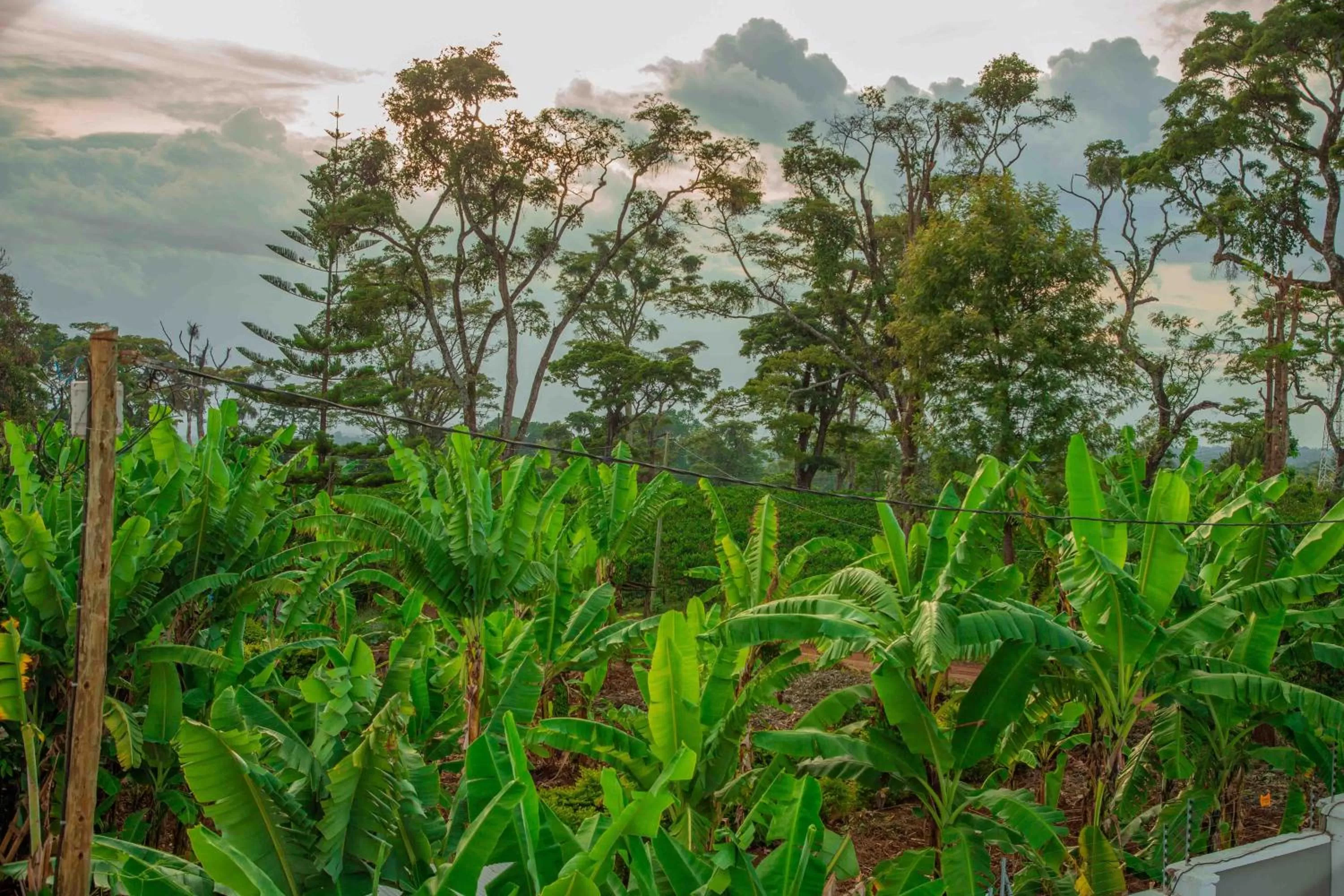 View (from property/room) in Dual Mountain View Lodge