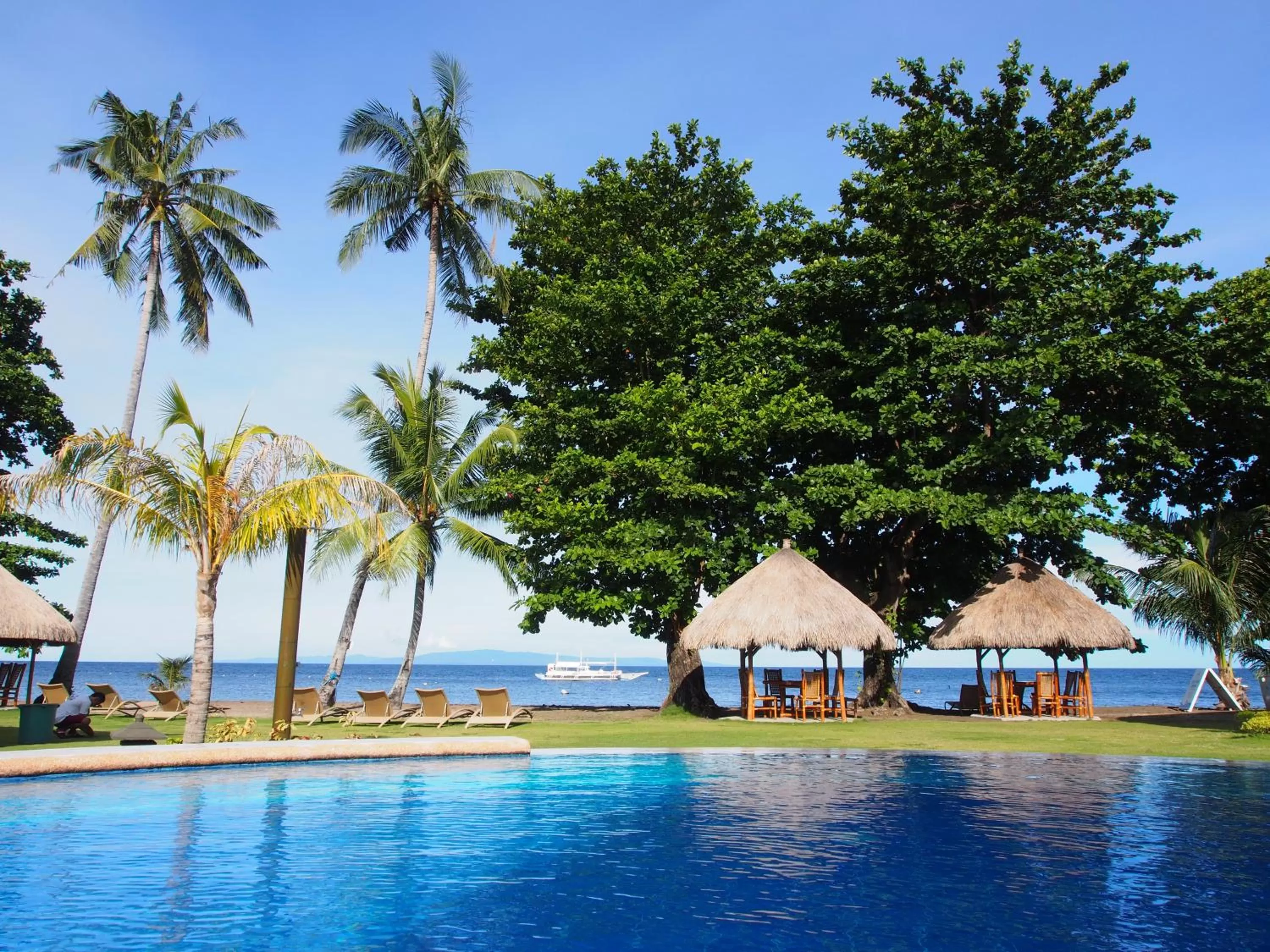Swimming pool in Pura Vida Beach & Dive Resort