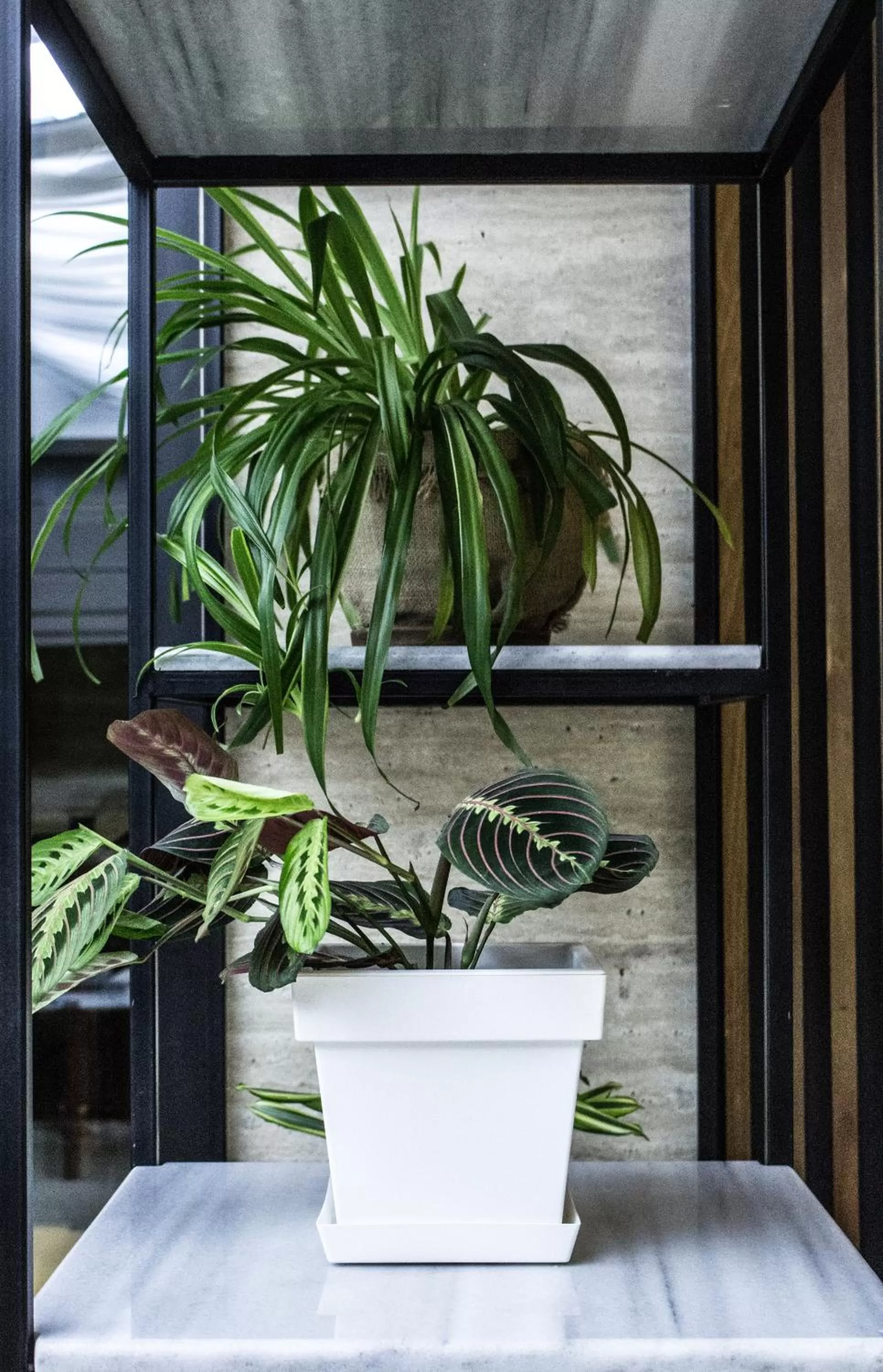 Property building in BG Palace Hotel