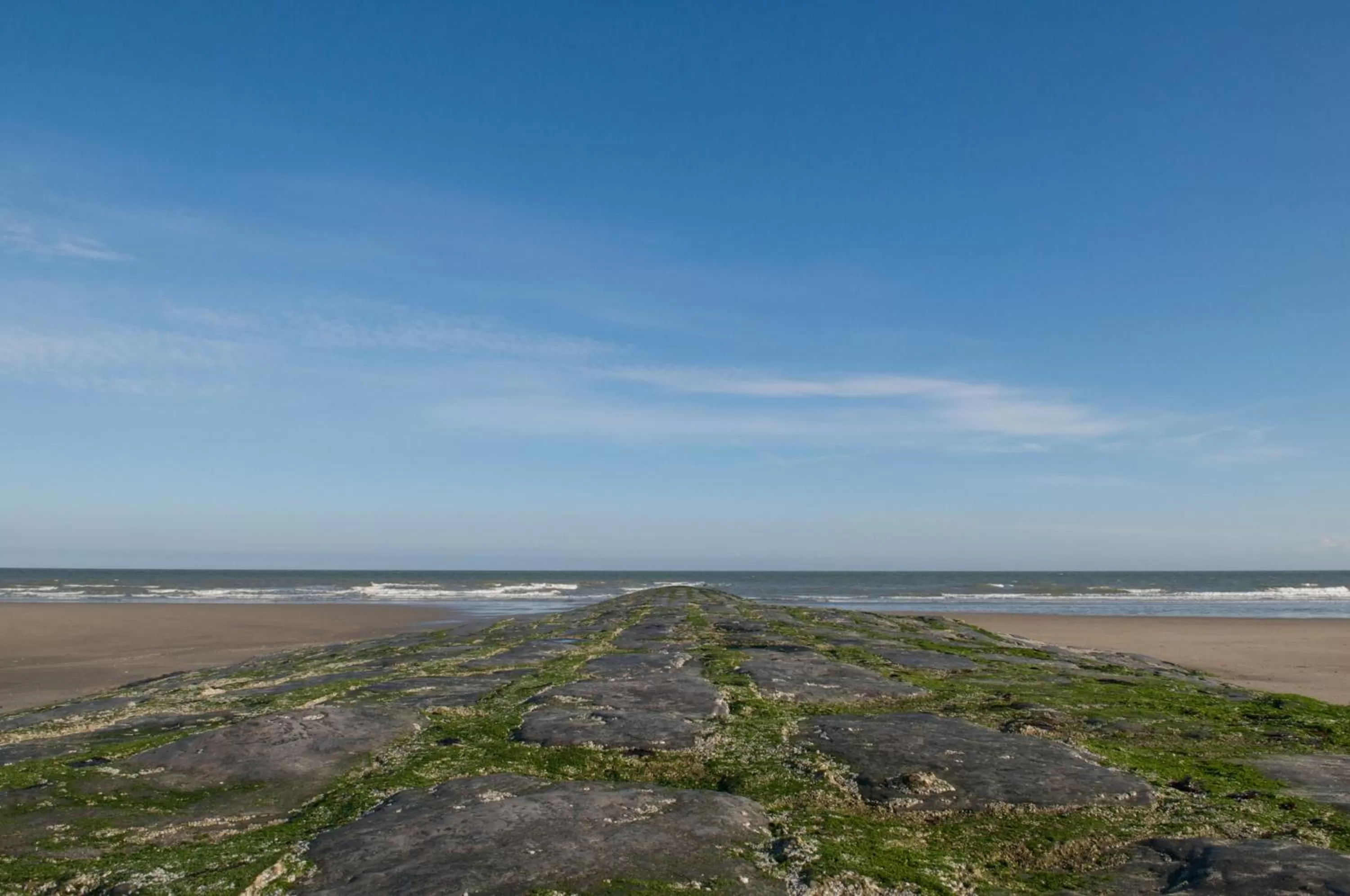 Area and facilities in Hotel De Golf