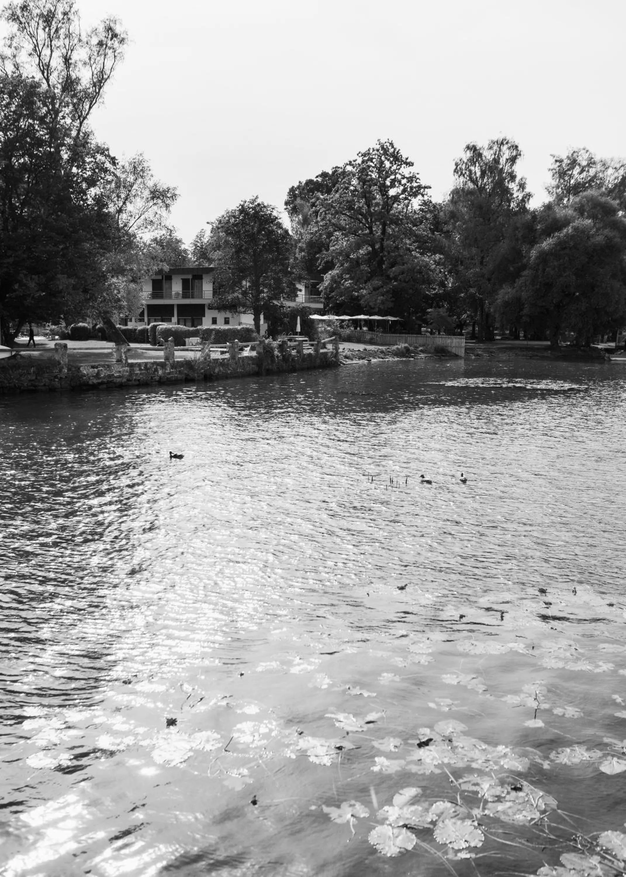 Lake view in Strandhotel SüdSee Diessen am Ammersee