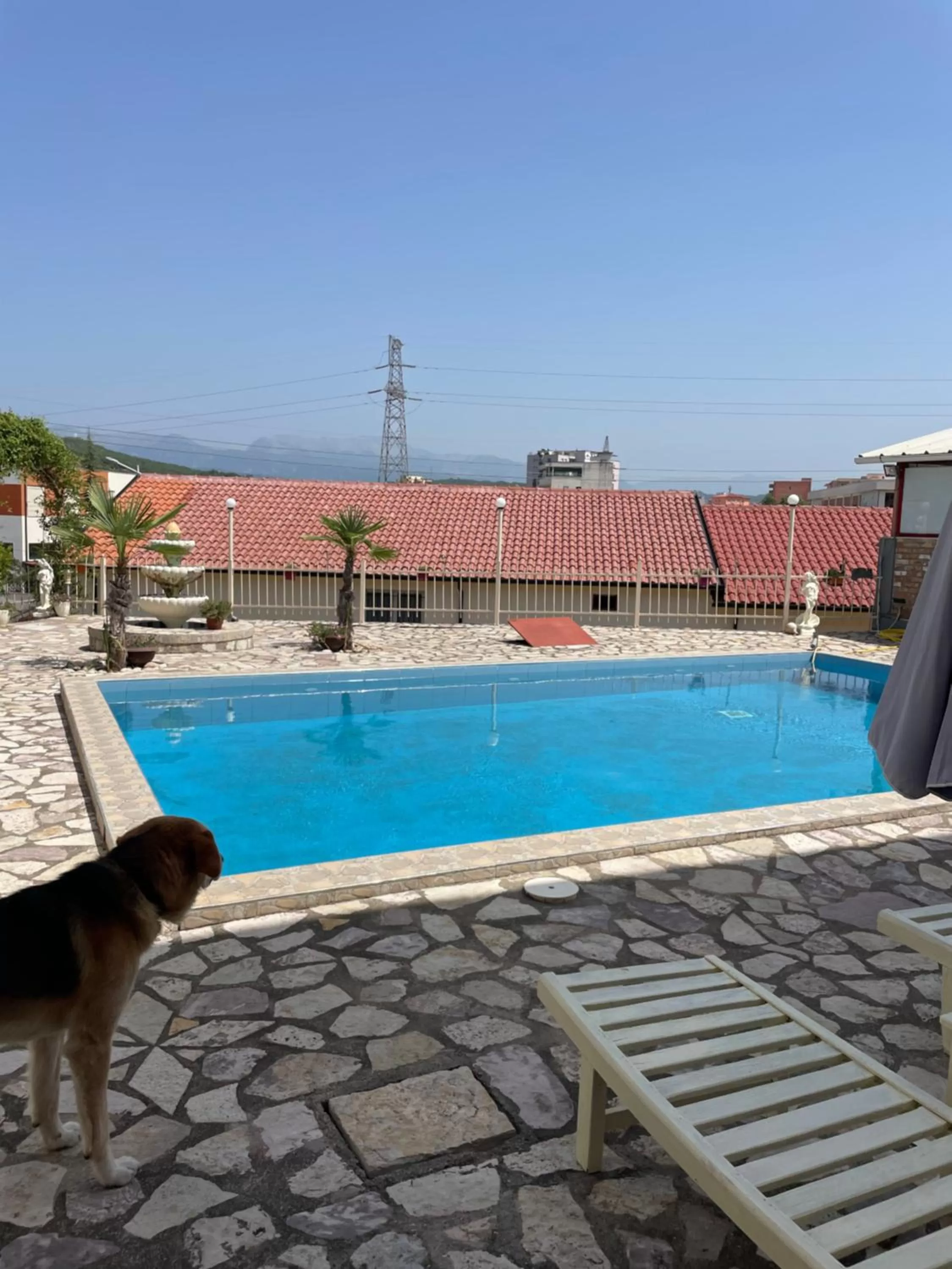 Swimming pool in Vila Livio - Guest house Rreshen Mirdite