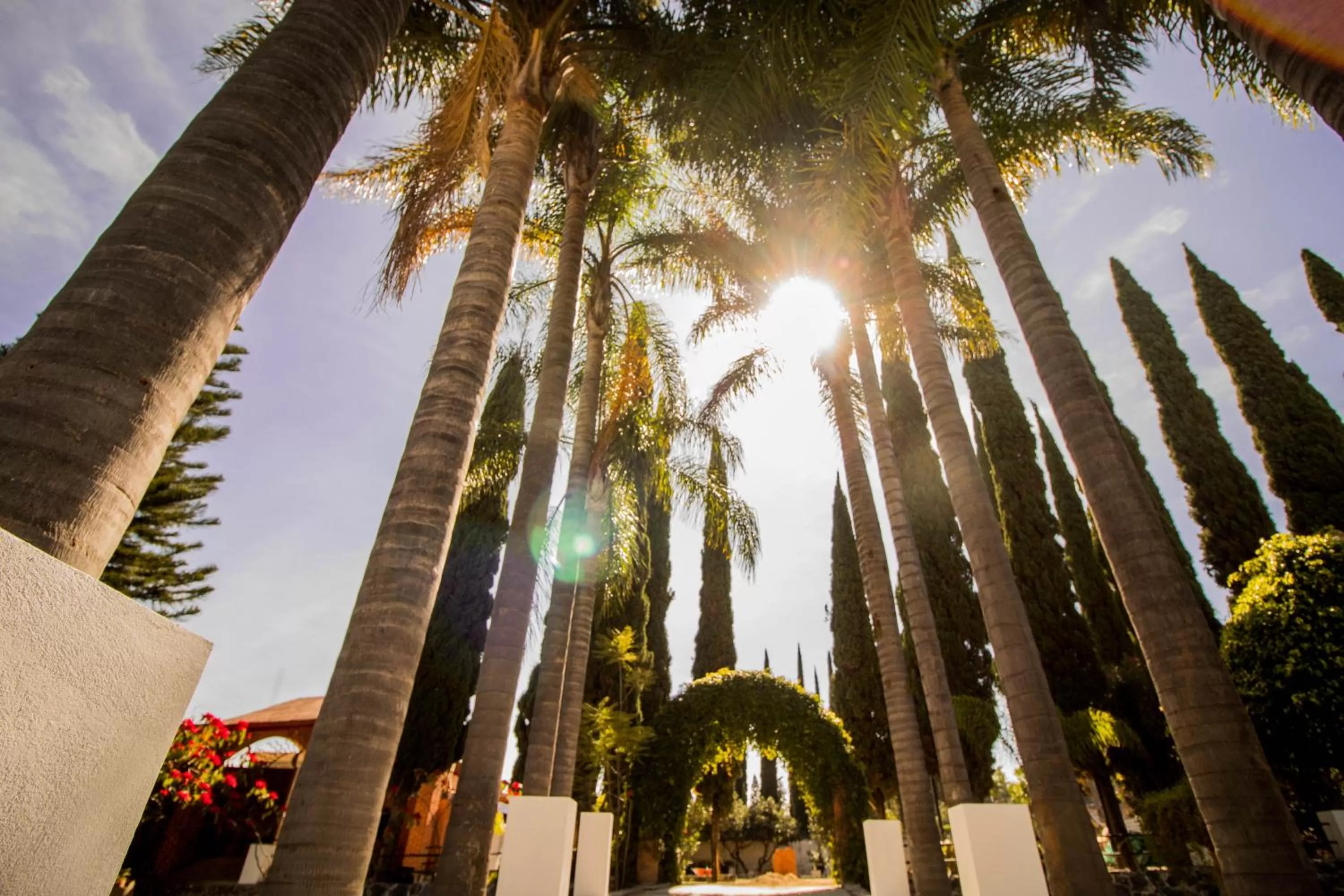 Garden in Río Tinto Hotel Boutique