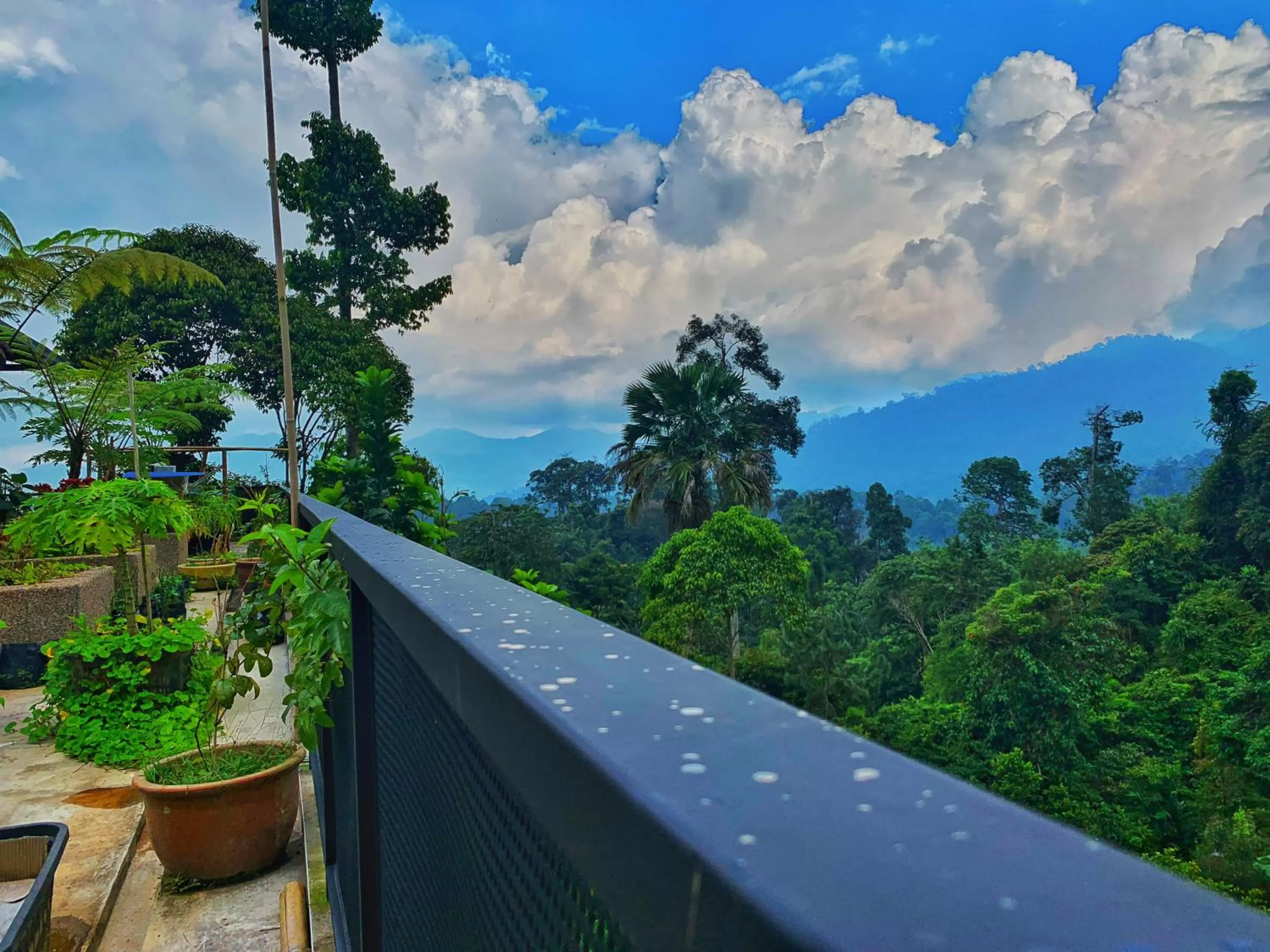 Harmony Valley Retreat