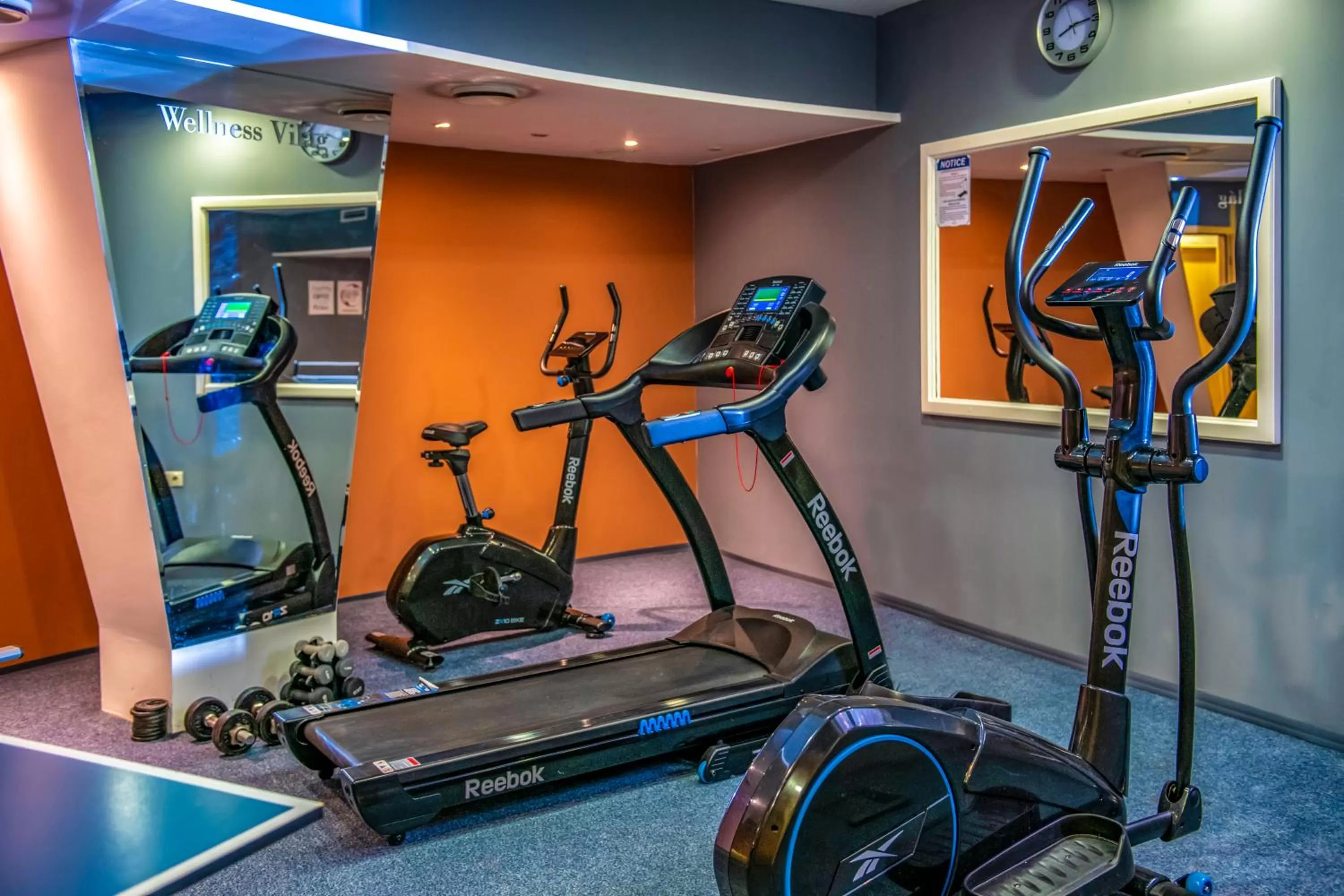 Fitness centre/facilities in Dráva Hotel Thermal Resort