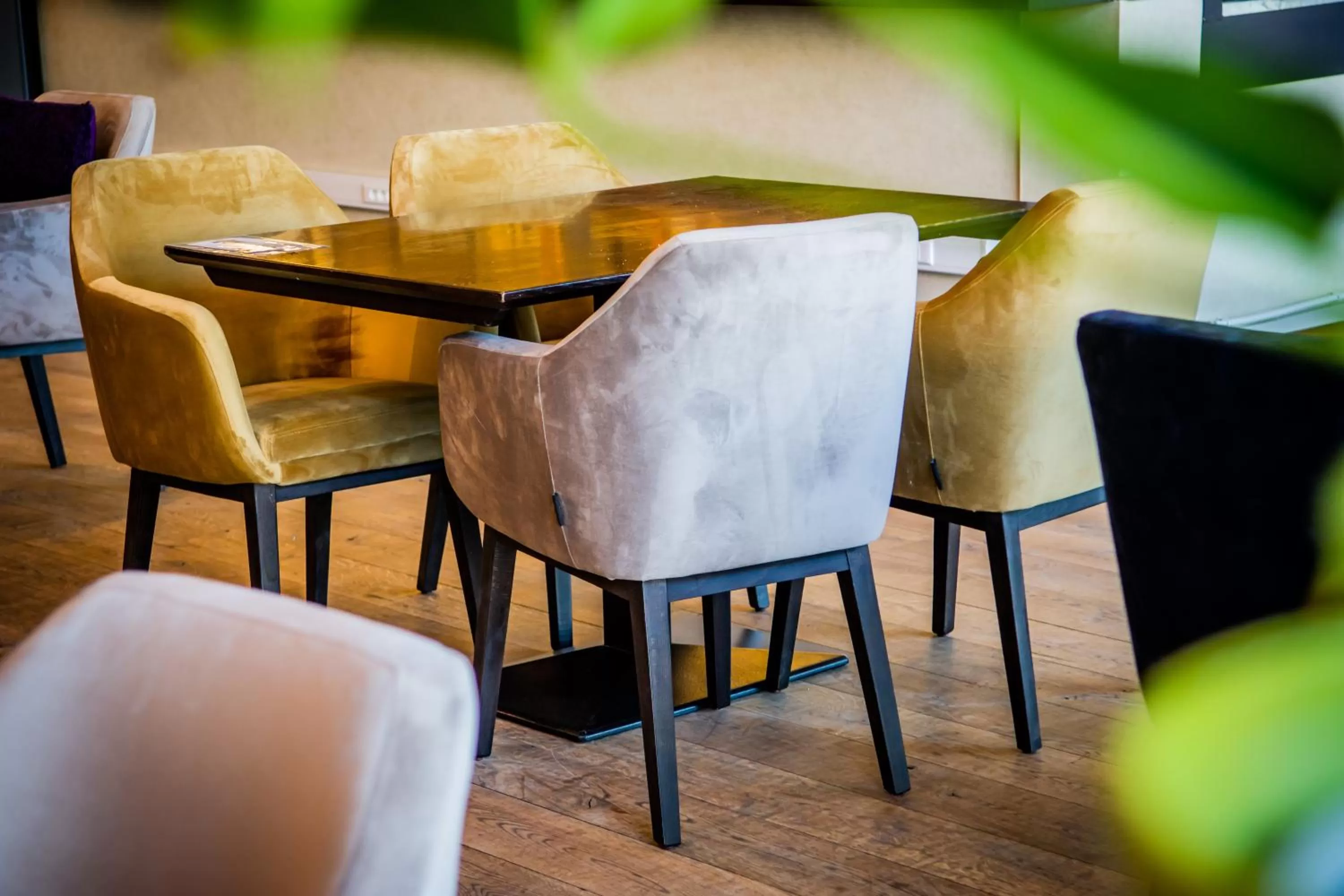 Restaurant/places to eat in Hotel Stayen