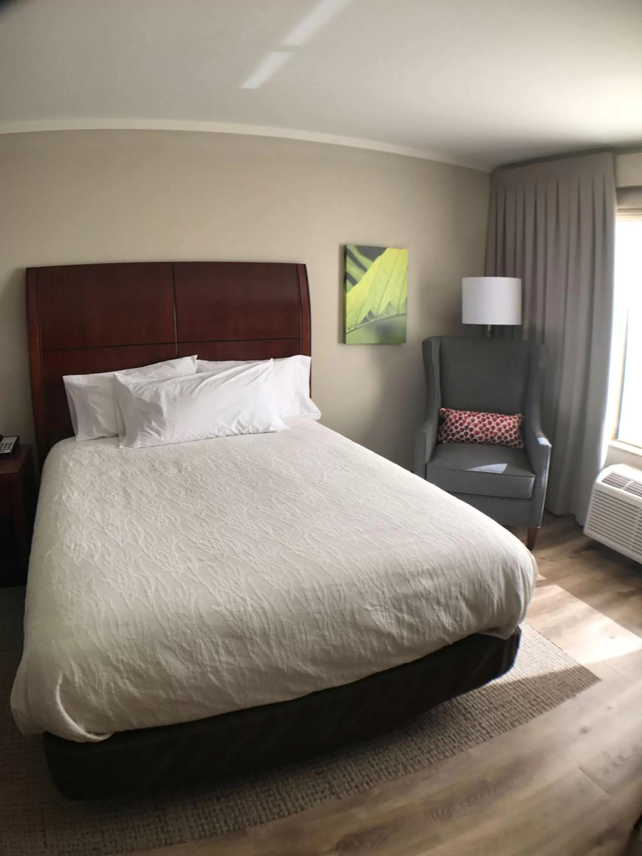 Bed in Hilton Garden Inn Bowling Green