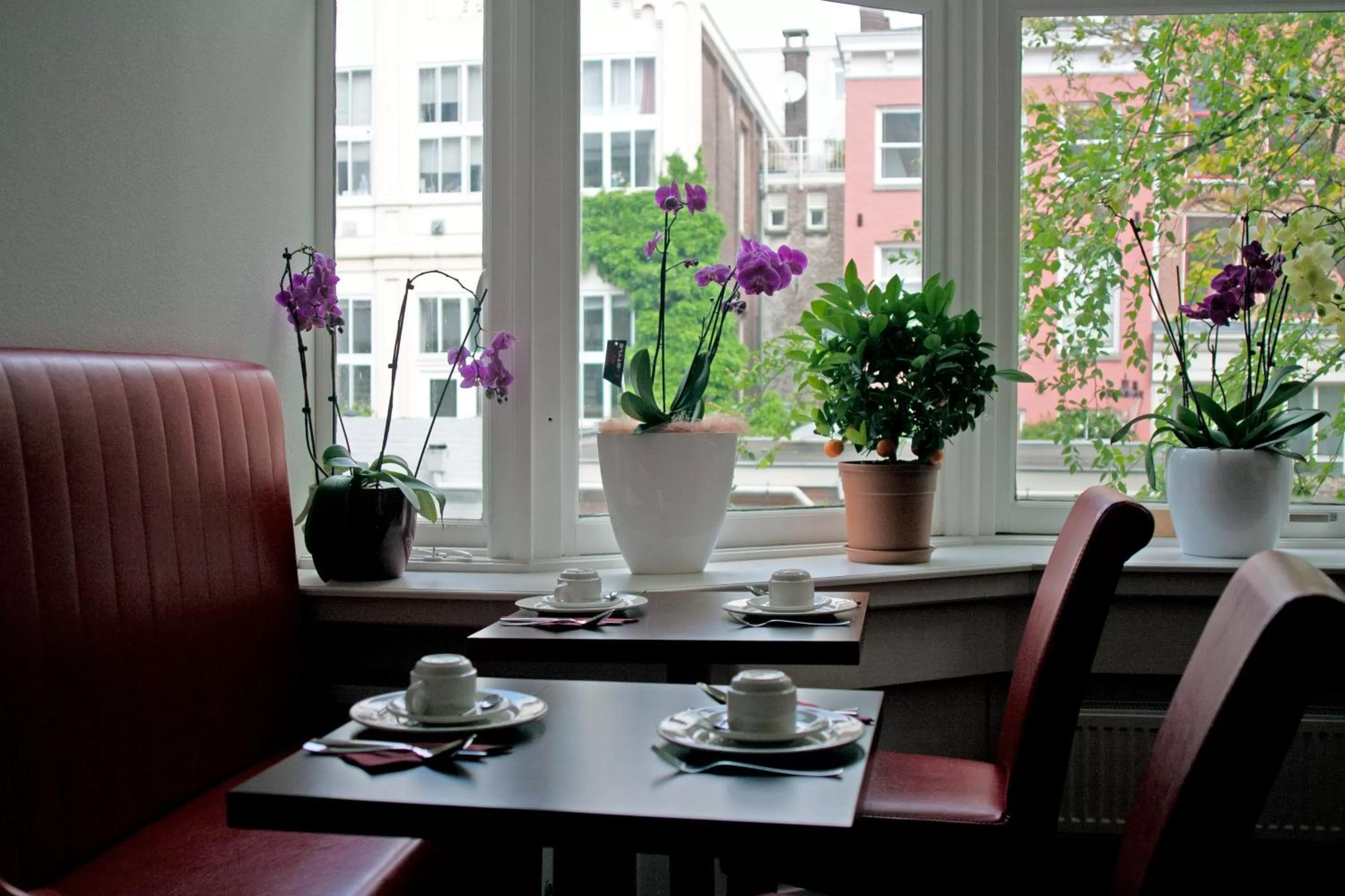 Restaurant/places to eat in Hotel Allure