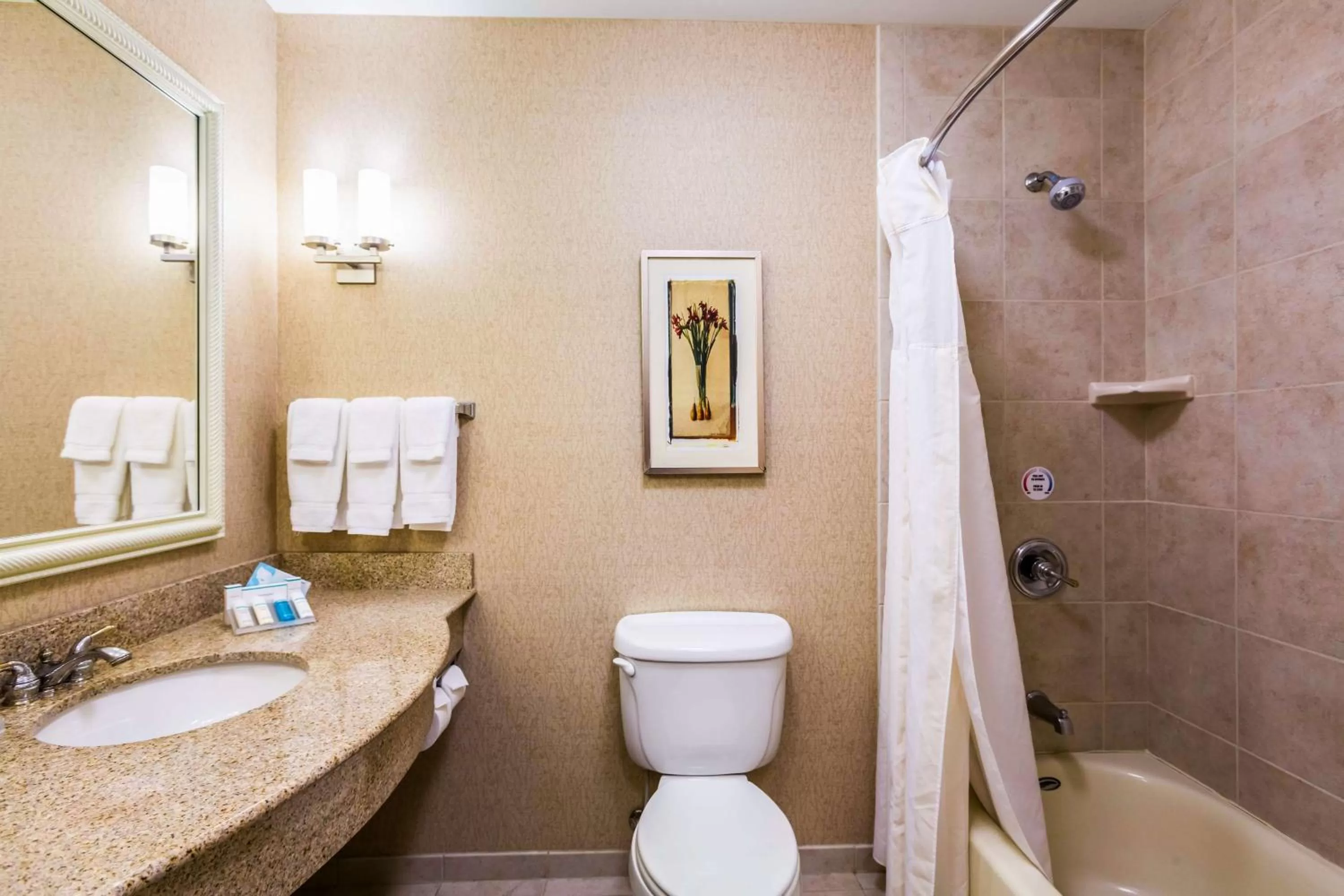 Bathroom in Hilton Garden Inn Milwaukee Northwest Conference Center