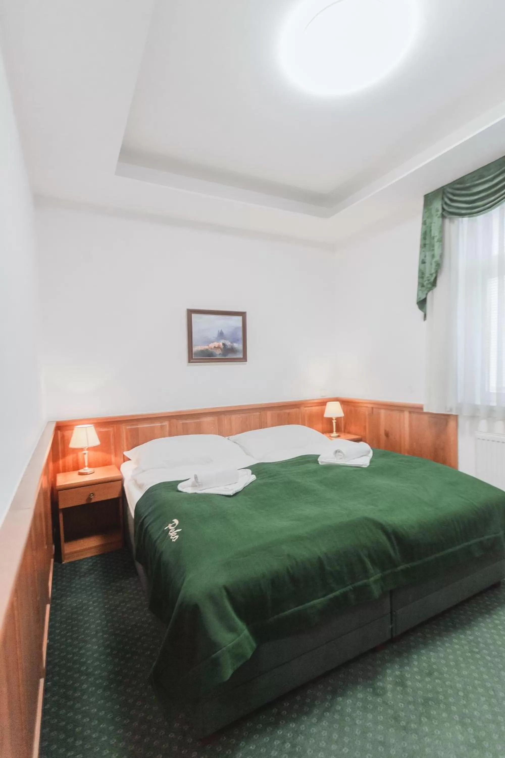 Photo of the whole room in Hotel Peko