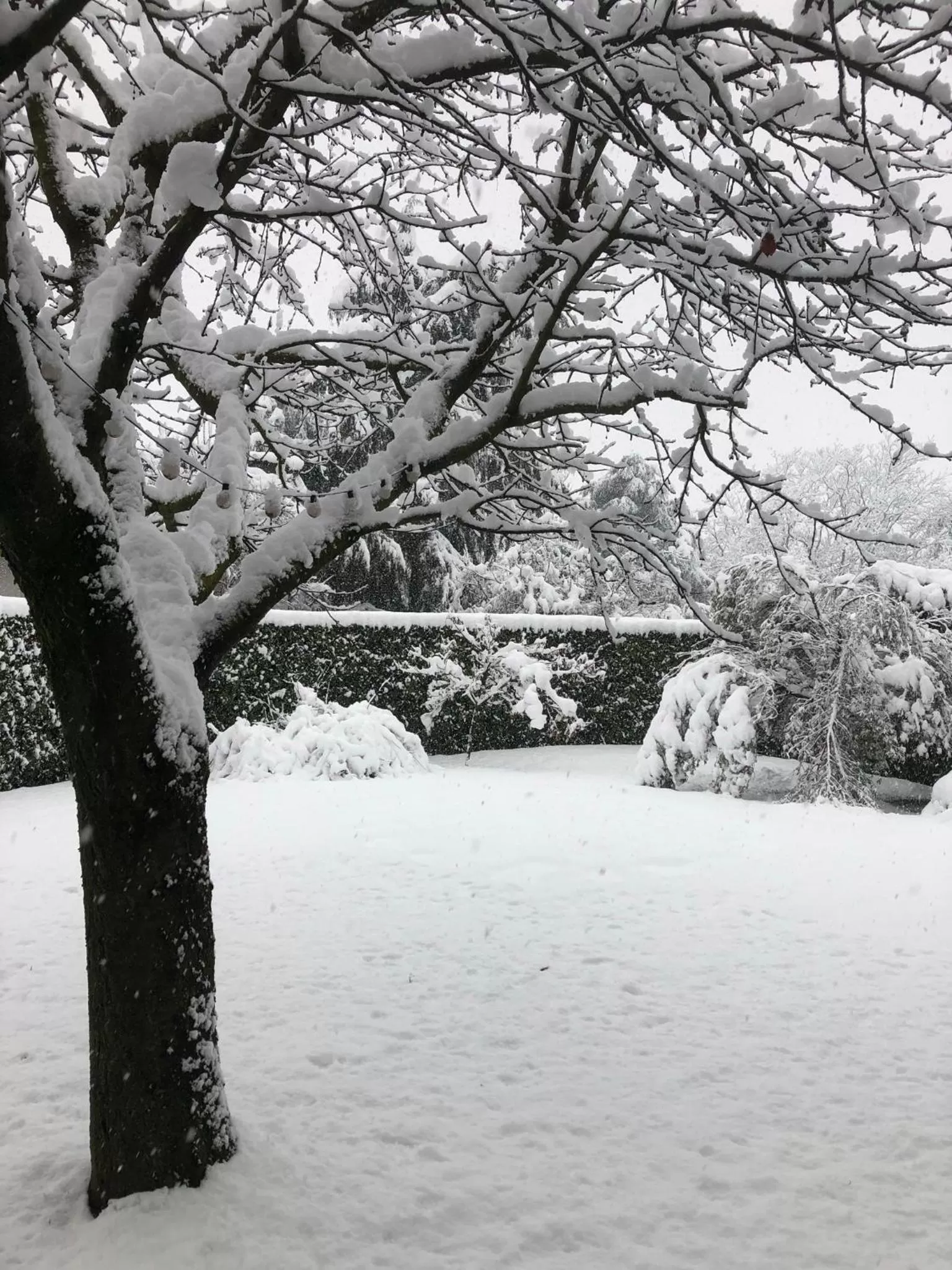 Garden in In Giardino B&B