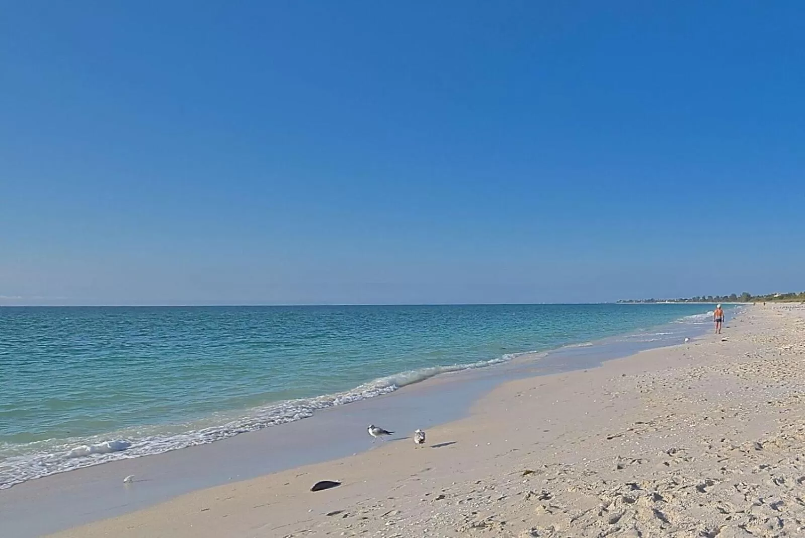 Property building in A Beach Retreat on Casey Key