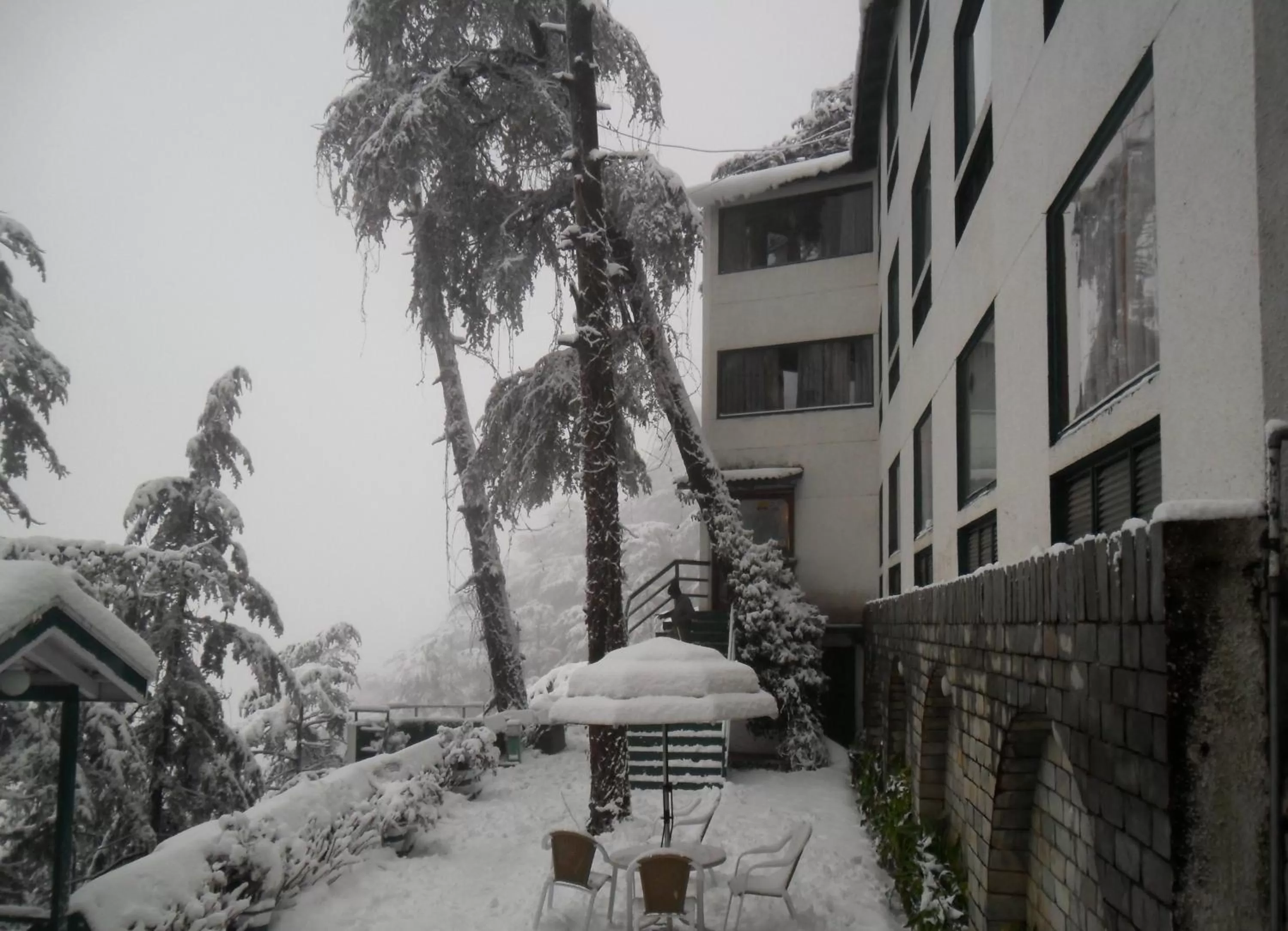 View (from property/room) in Honeymoon Inn Shimla