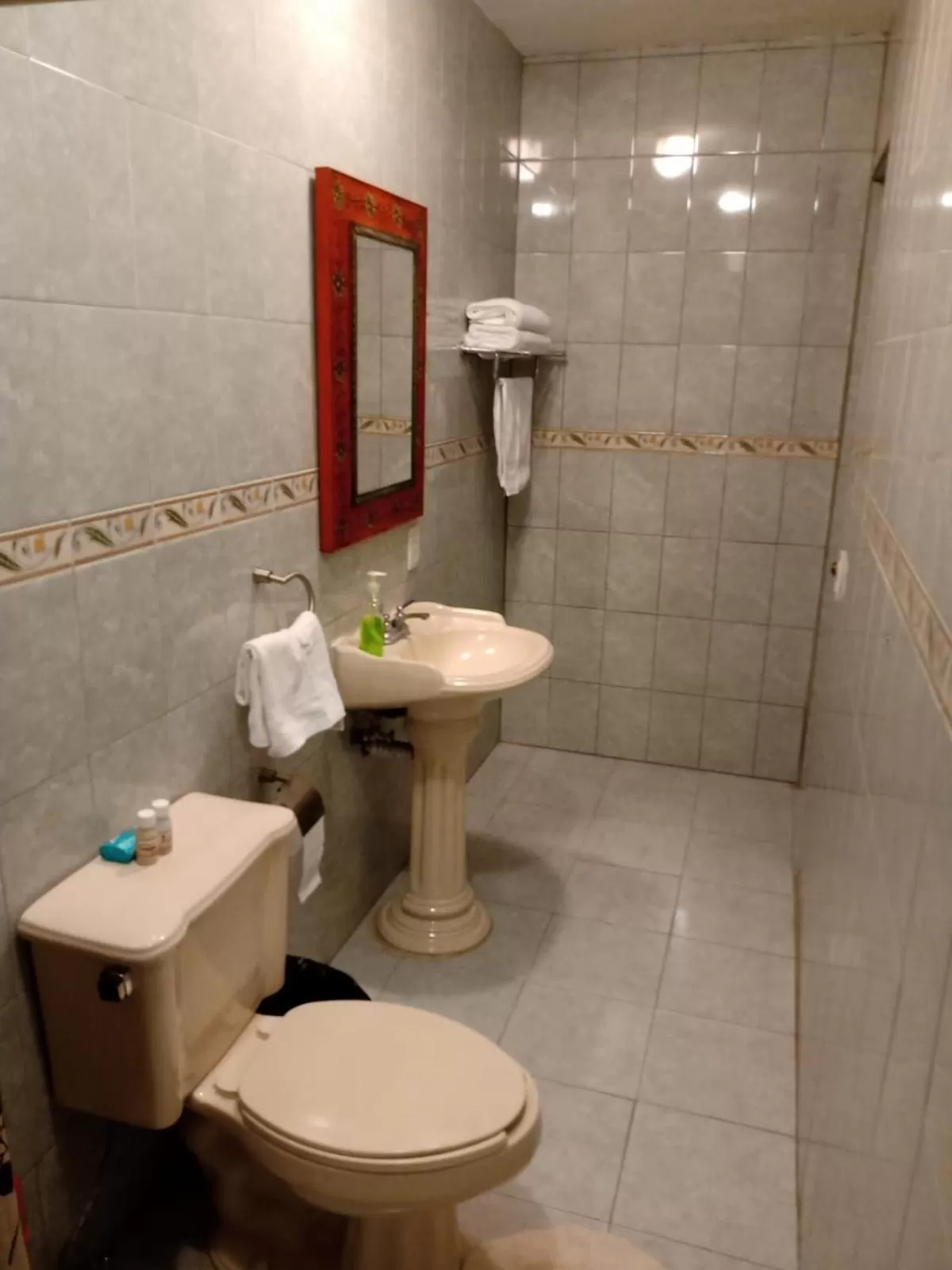 Bathroom in La Casa Rosa Guanajuato