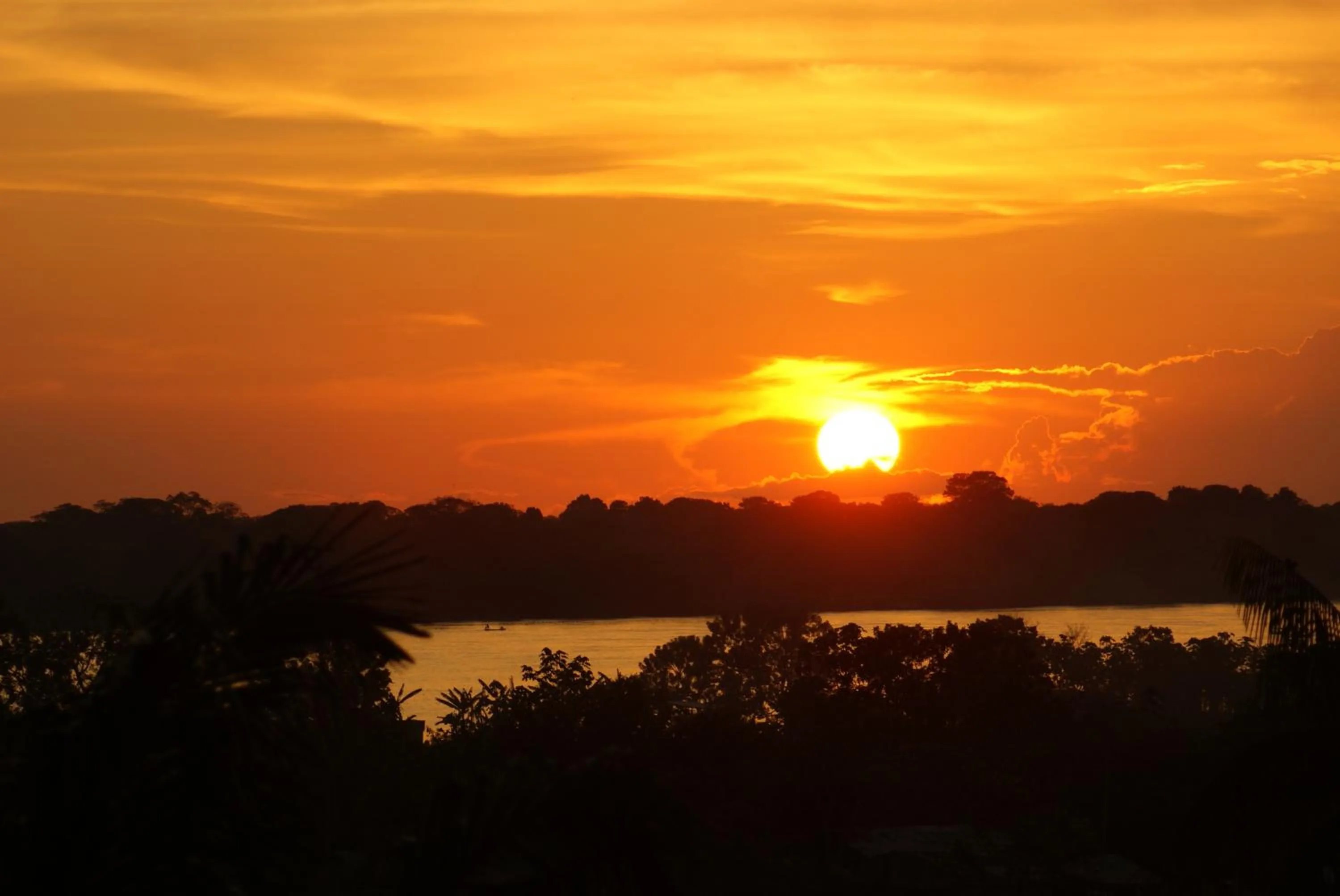 Natural landscape in Hotel Anaconda
