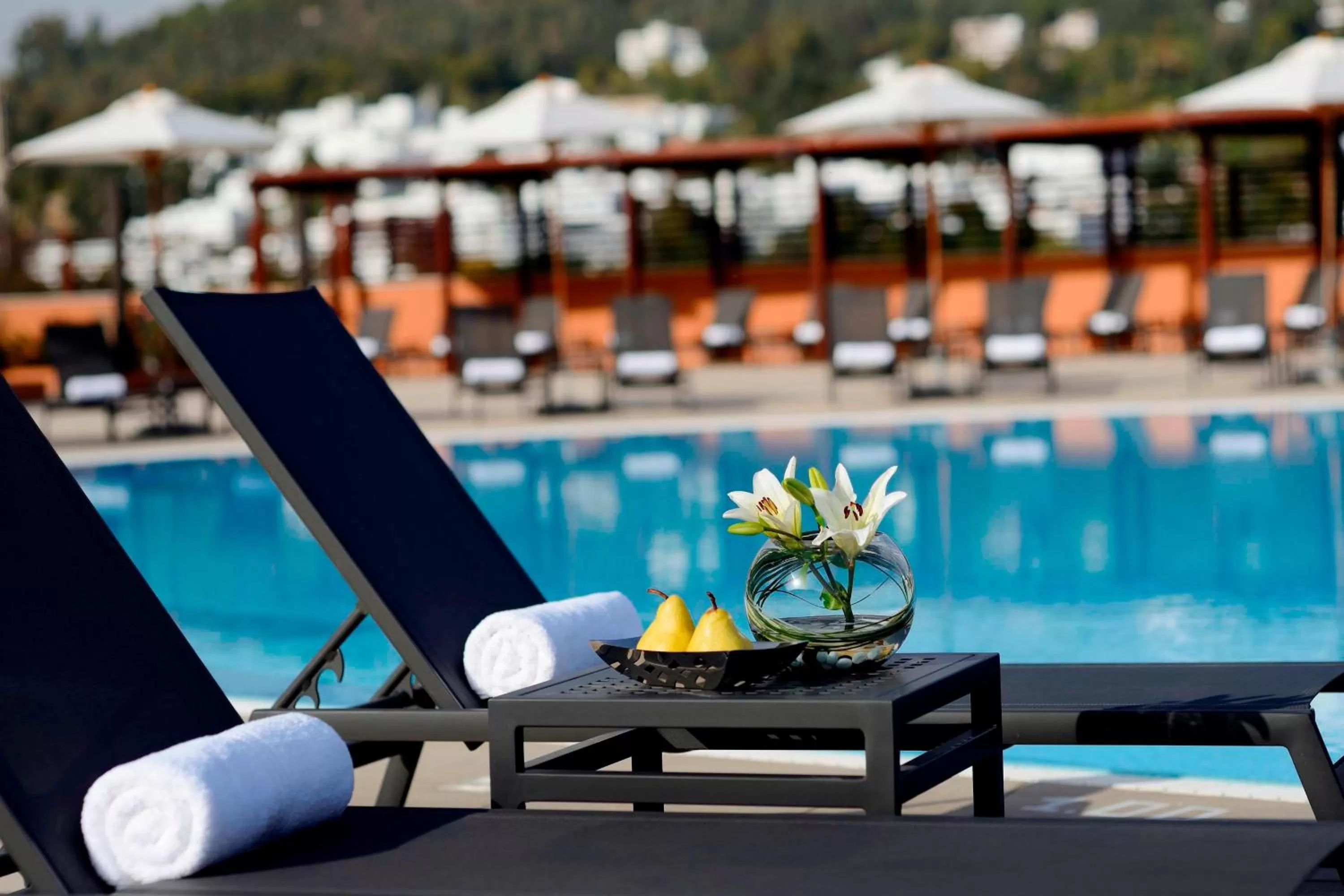 Swimming Pool in Constantine Marriott Hotel