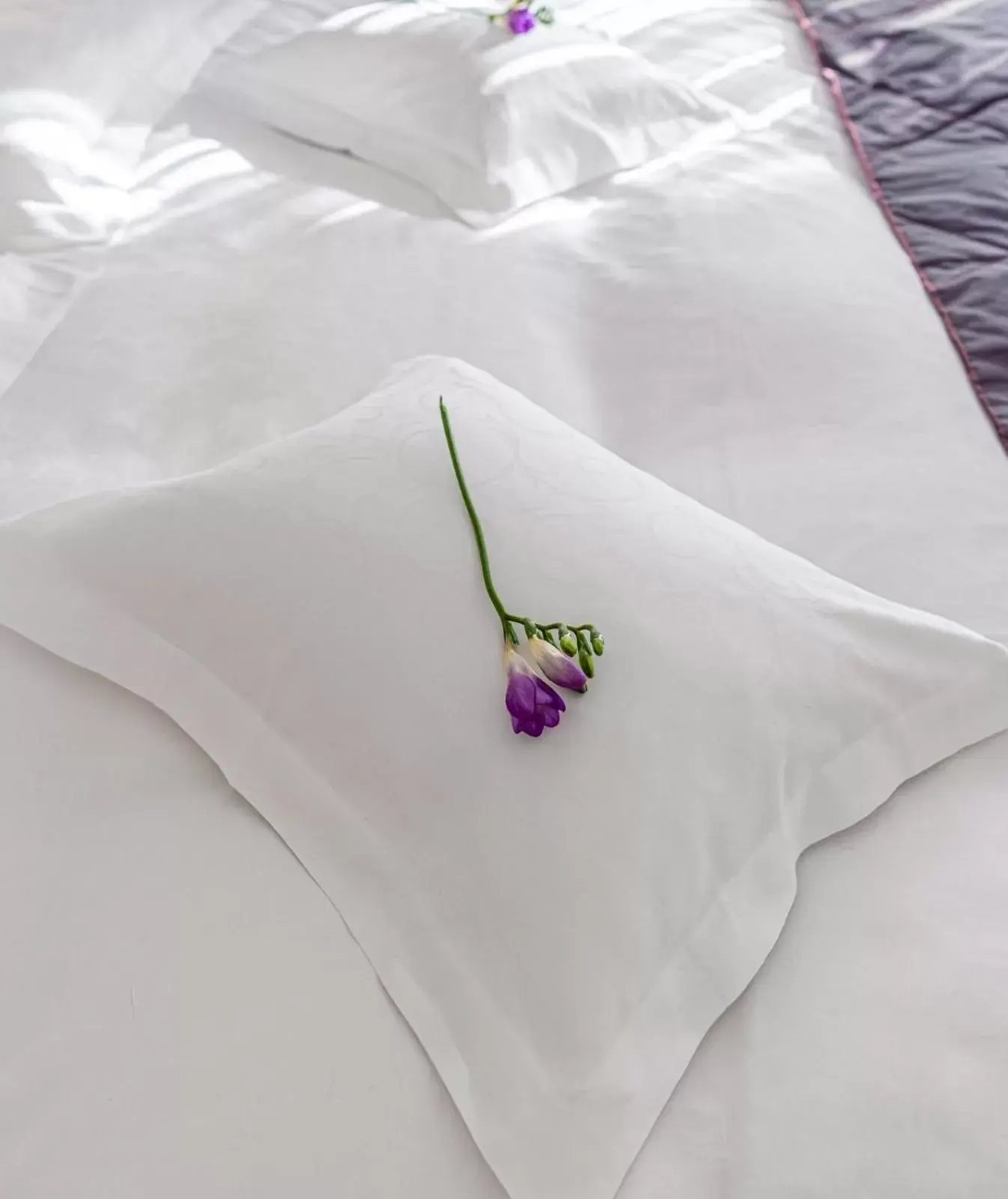 Deluxe Double Room in Hotel Miruna - New Belvedere Deluxe Double Room in Hotel Miruna - New Belvedere