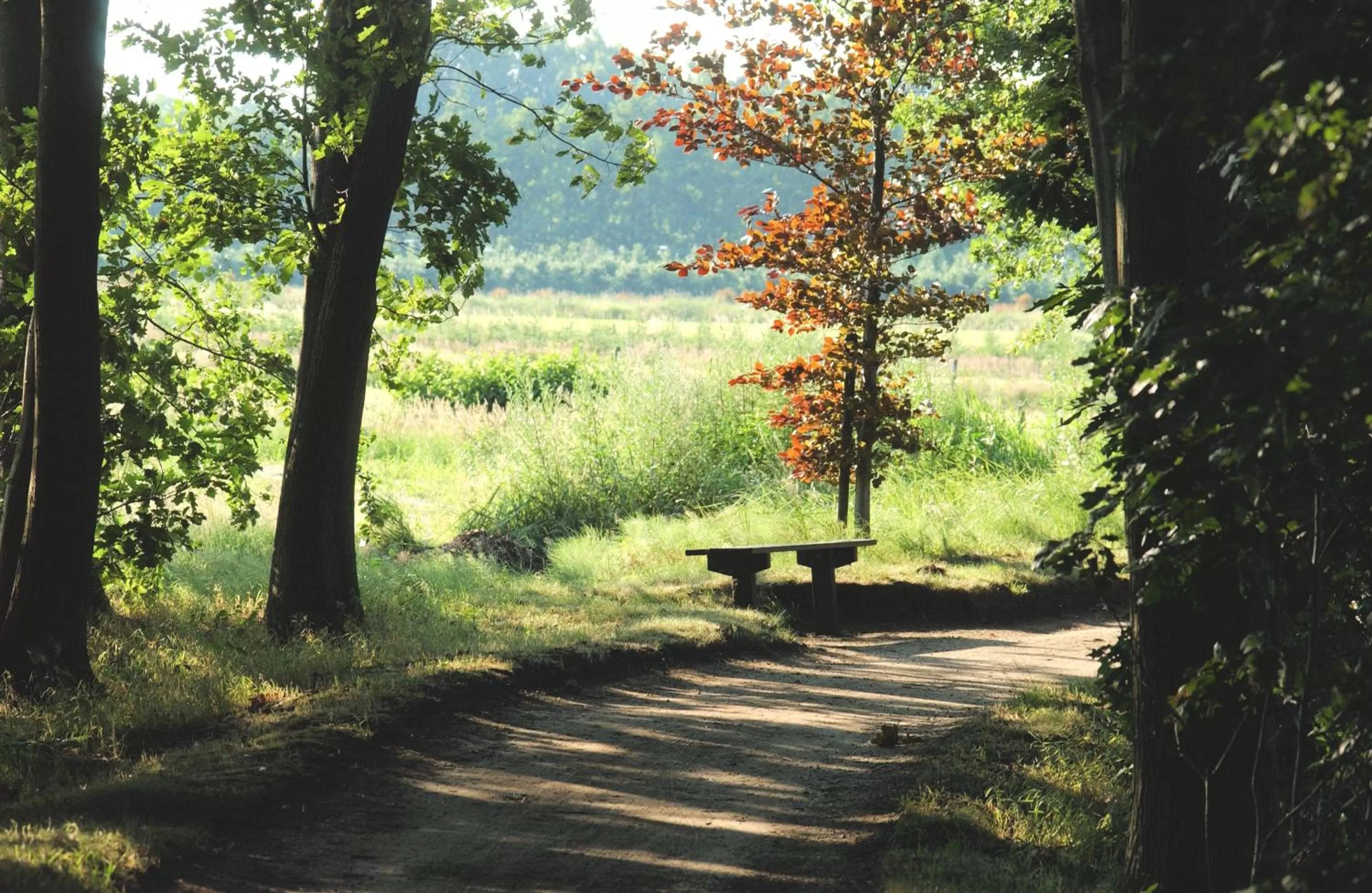 Garden in Hotel Hof van 's Gravenmoer