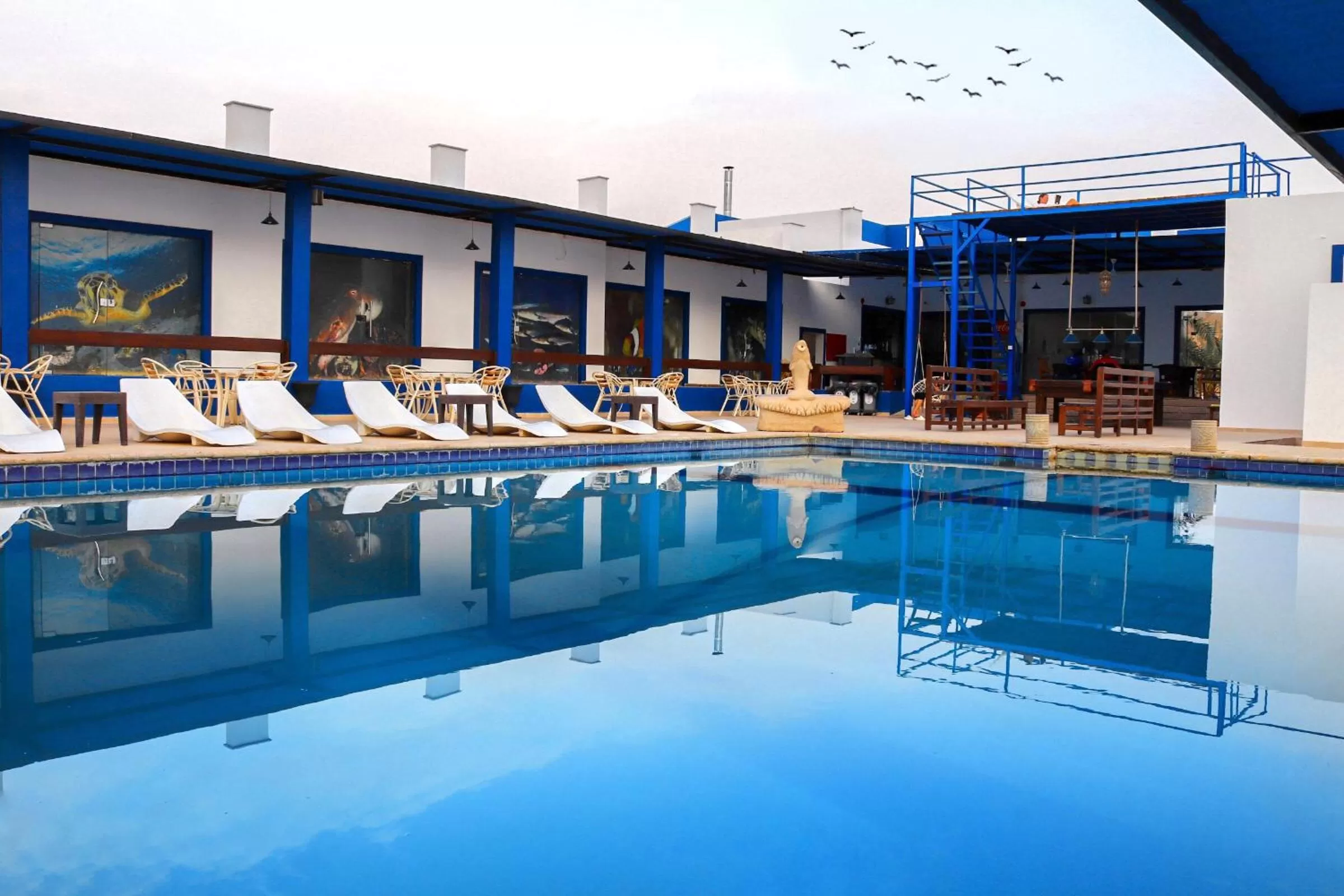 Pool view in Aqaba Adventure Divers Resort & Dive Center