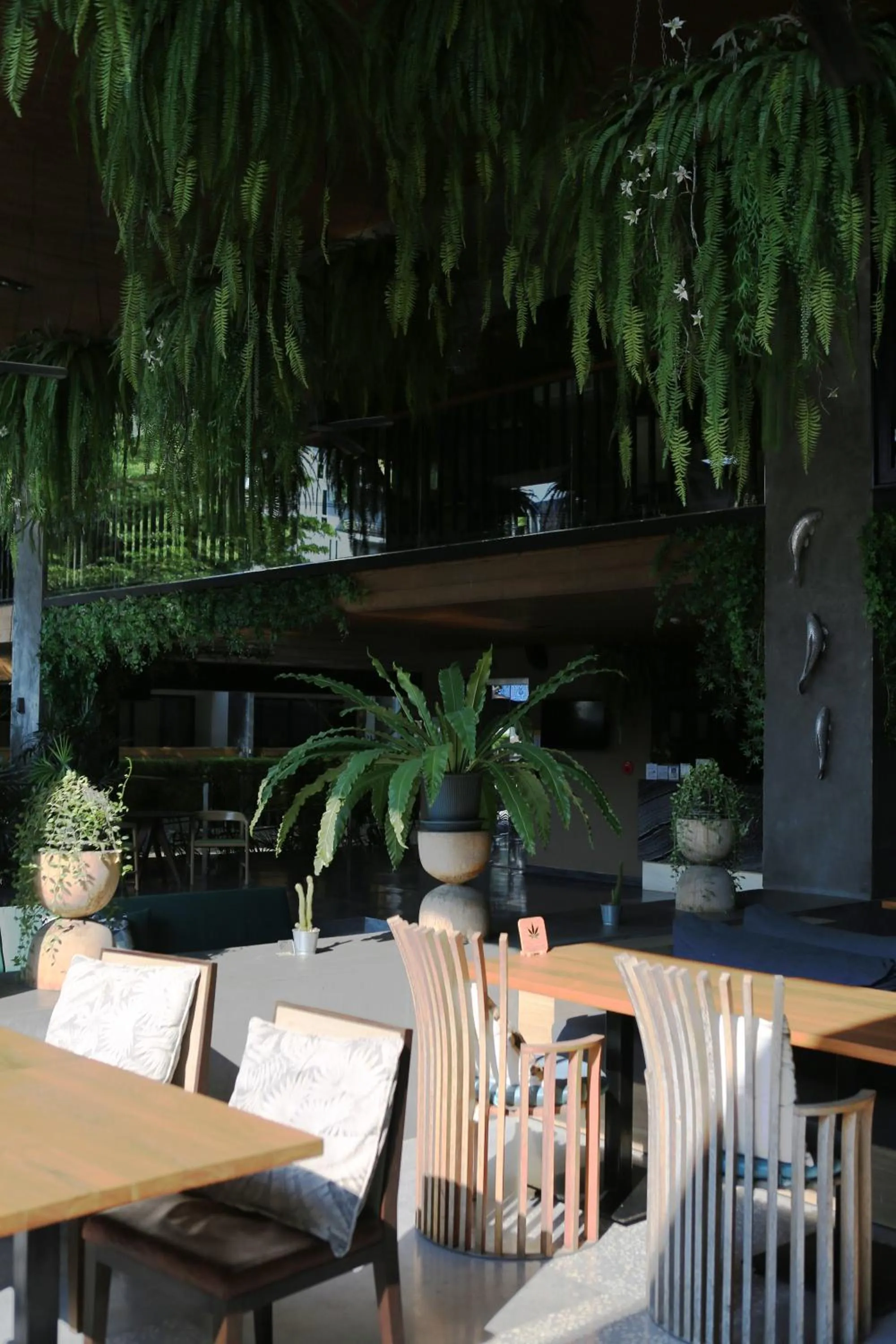 Restaurant/places to eat in The Silver Palm Wellness Resort