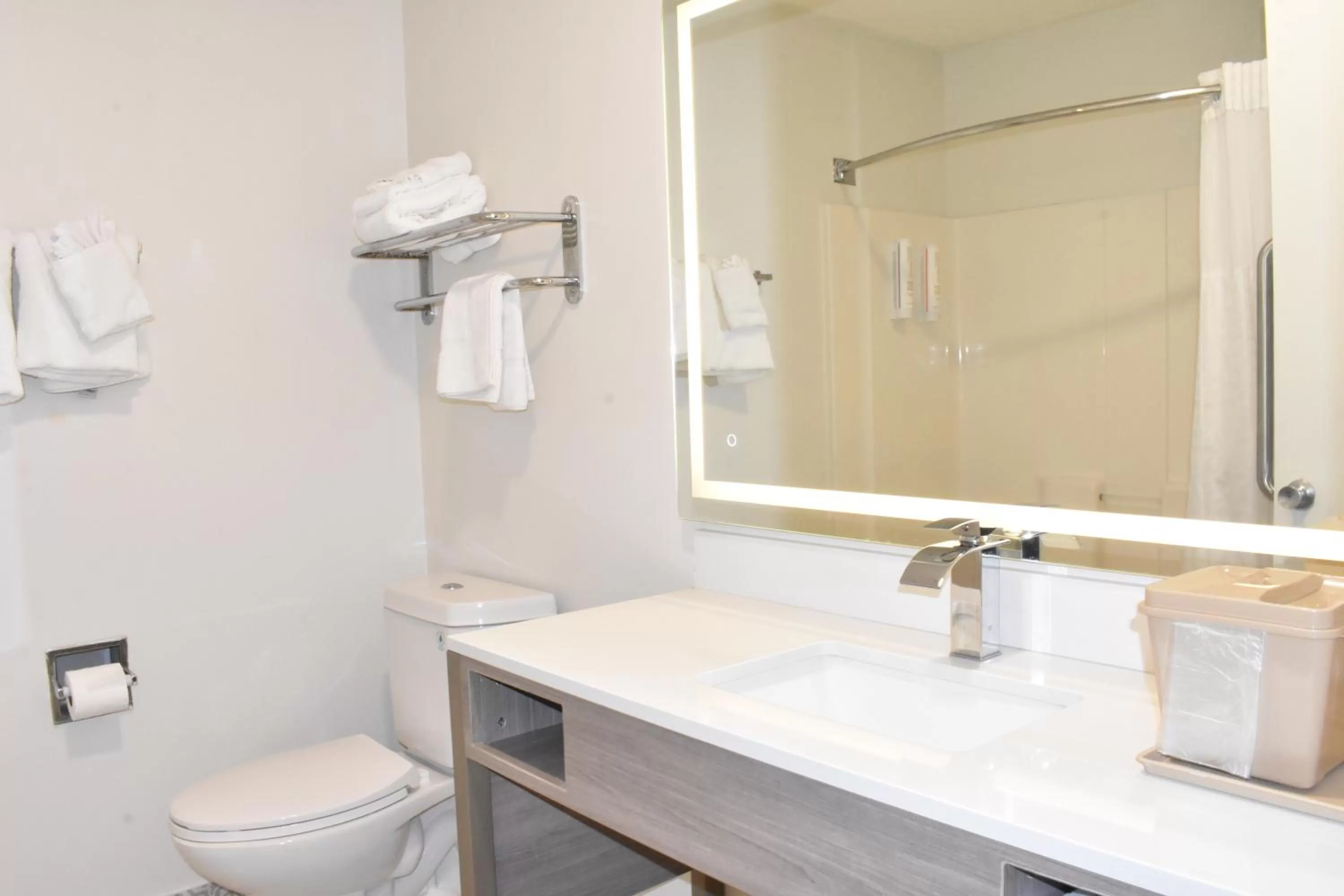 Bathroom in Clarion Pointe Vidalia - Lyons West