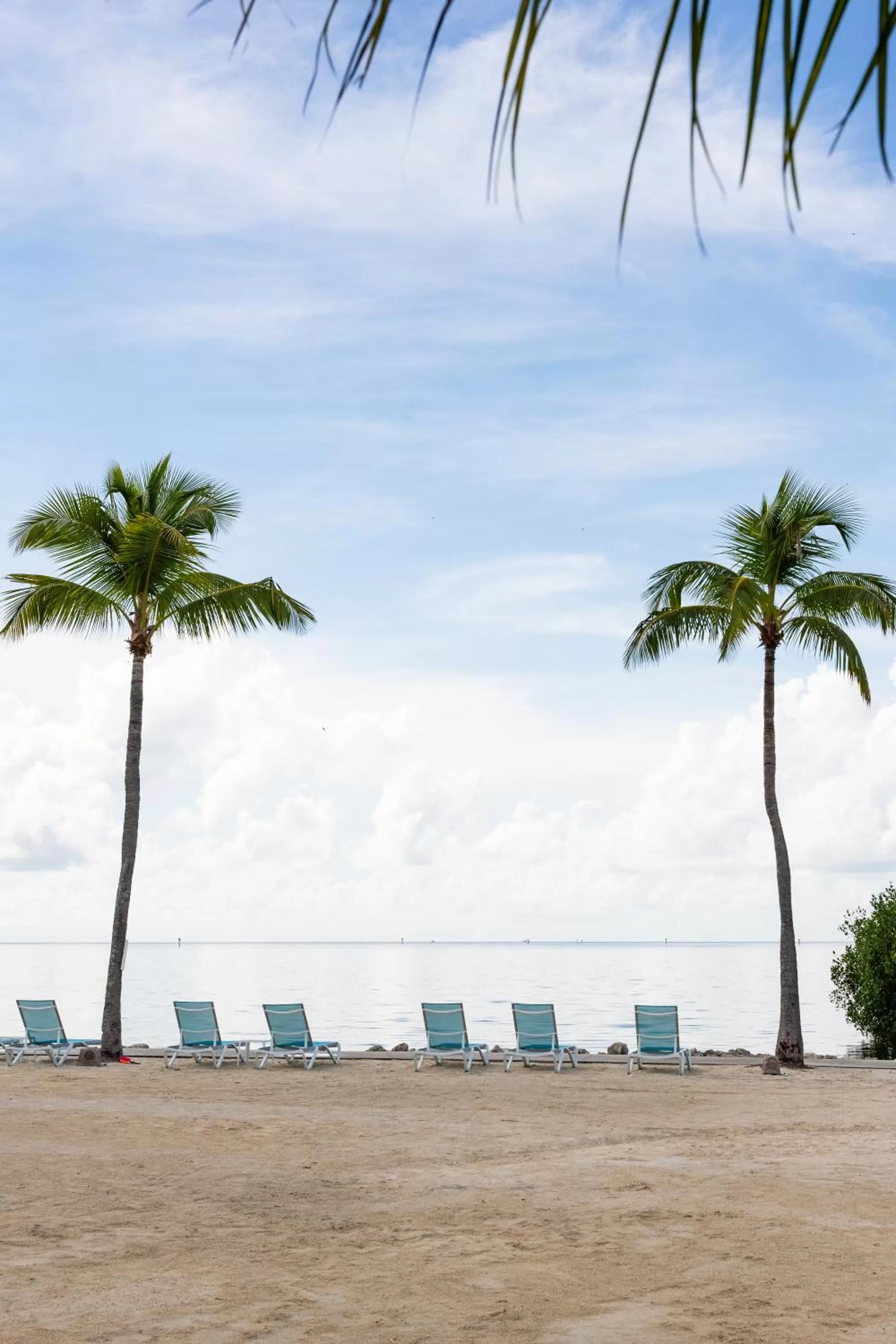 Sea view in Fisher Inn Resort & Marina