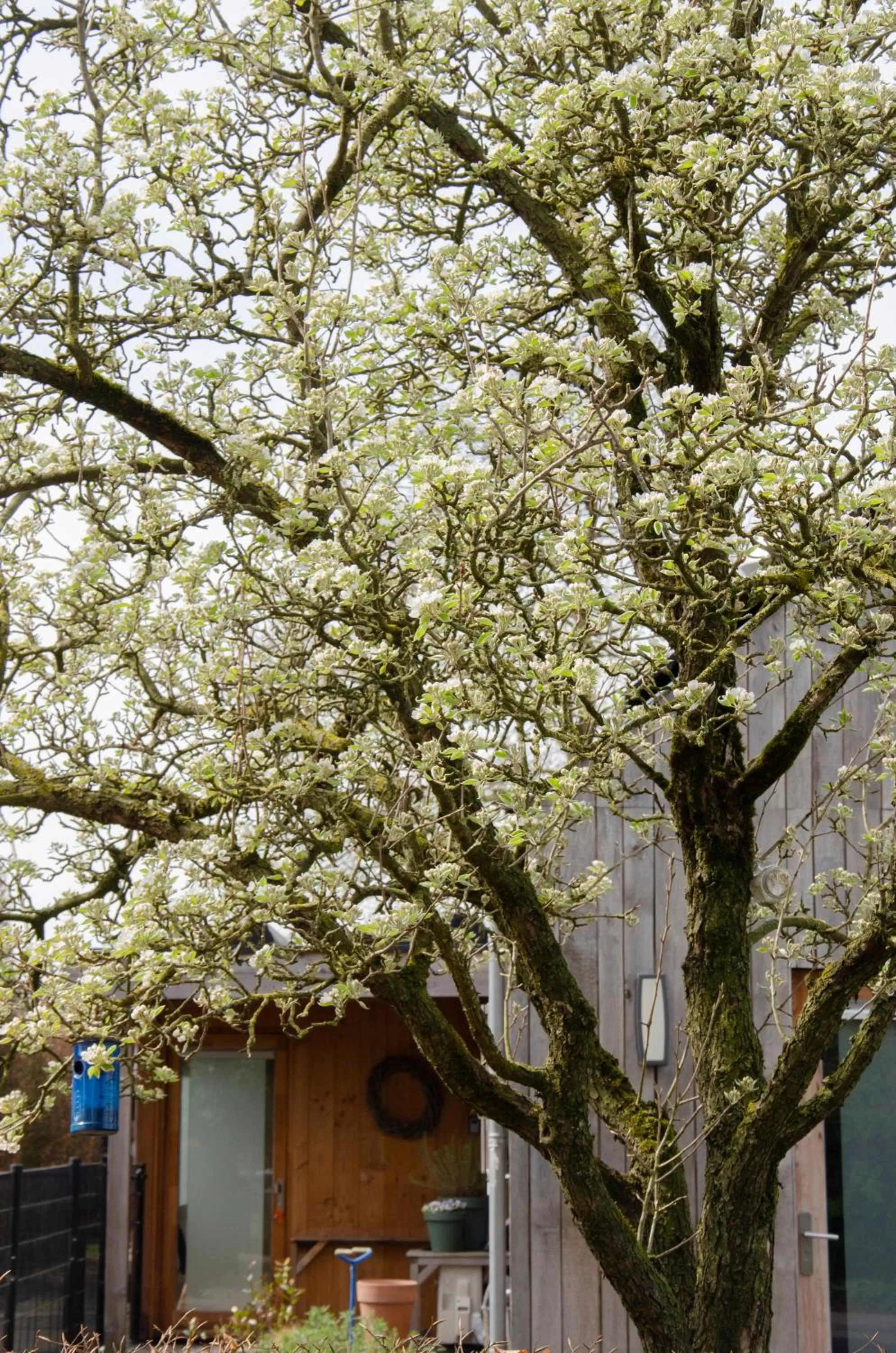 Property building in Bed and Breakfast Bedstay op 8