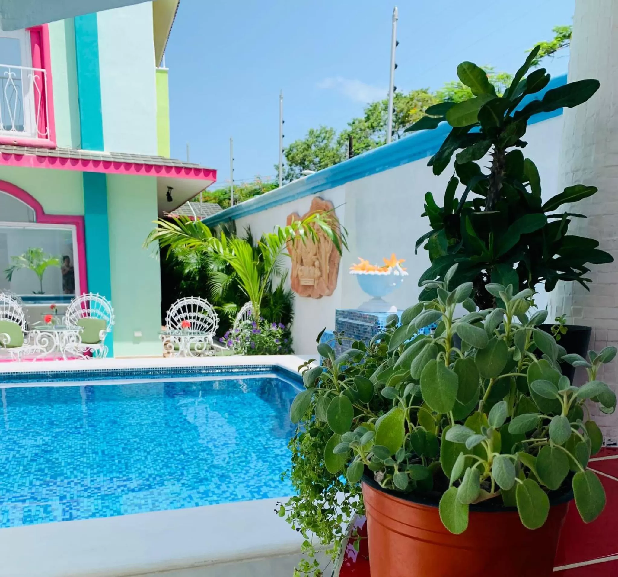 Swimming Pool in The Quetzal