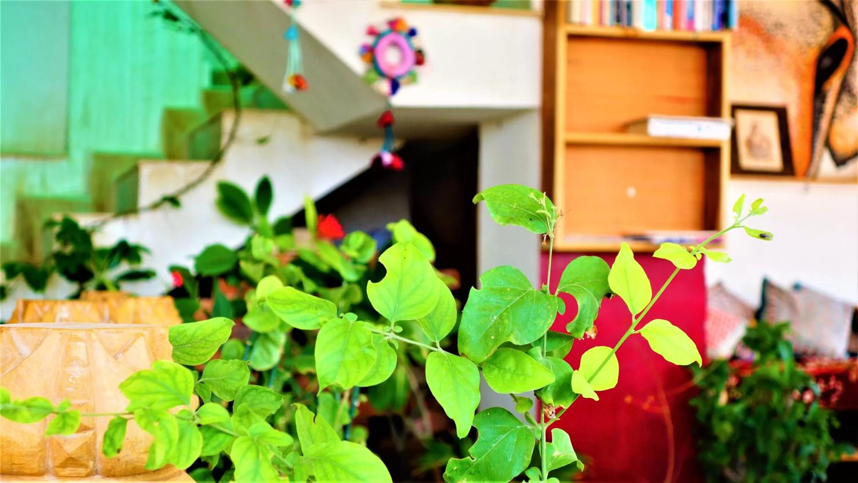 Property building in The Wanderlust Guest House & Safari