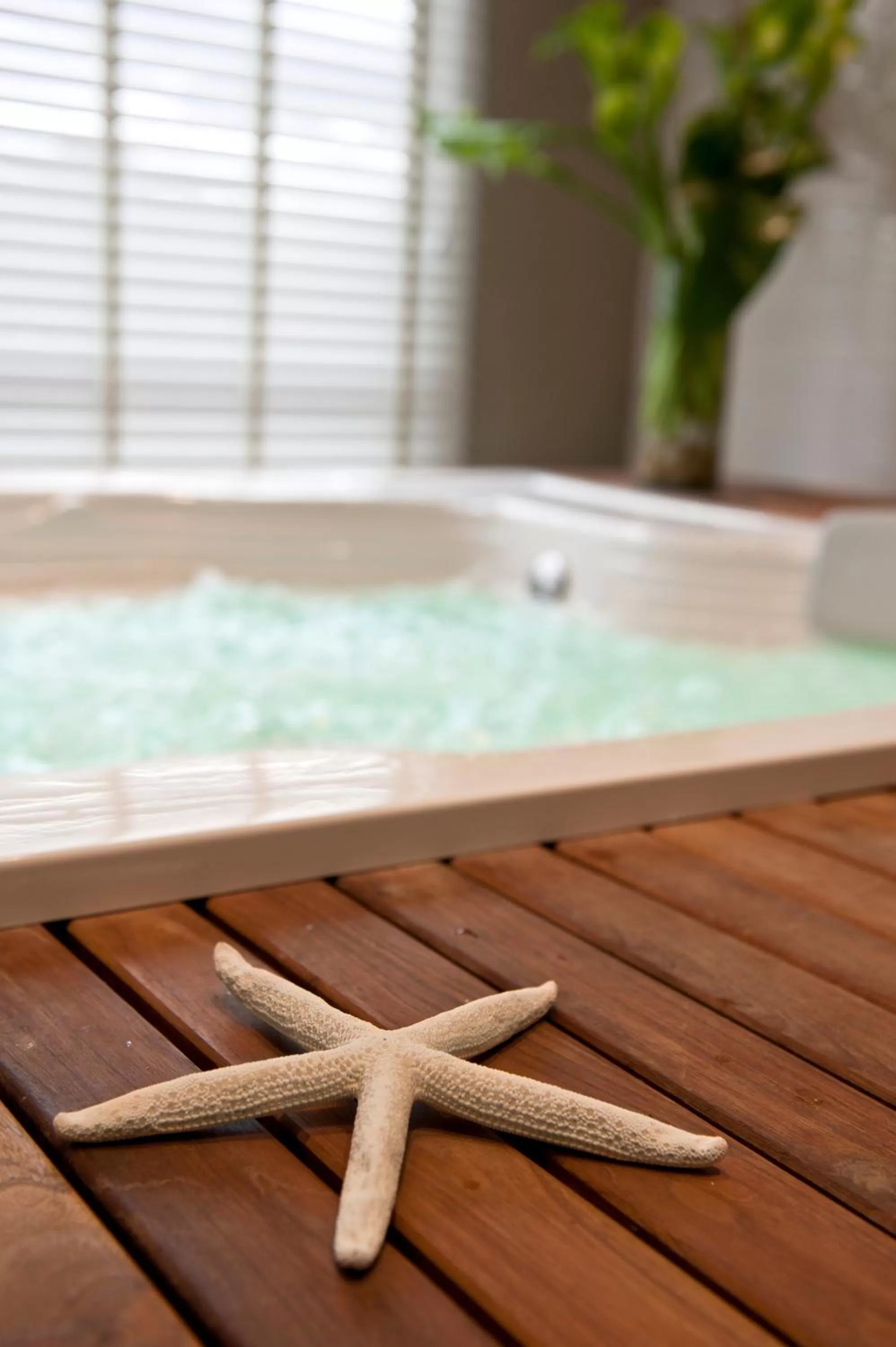 Spa and wellness centre/facilities in Casa Dann Carlton Hotel & SPA