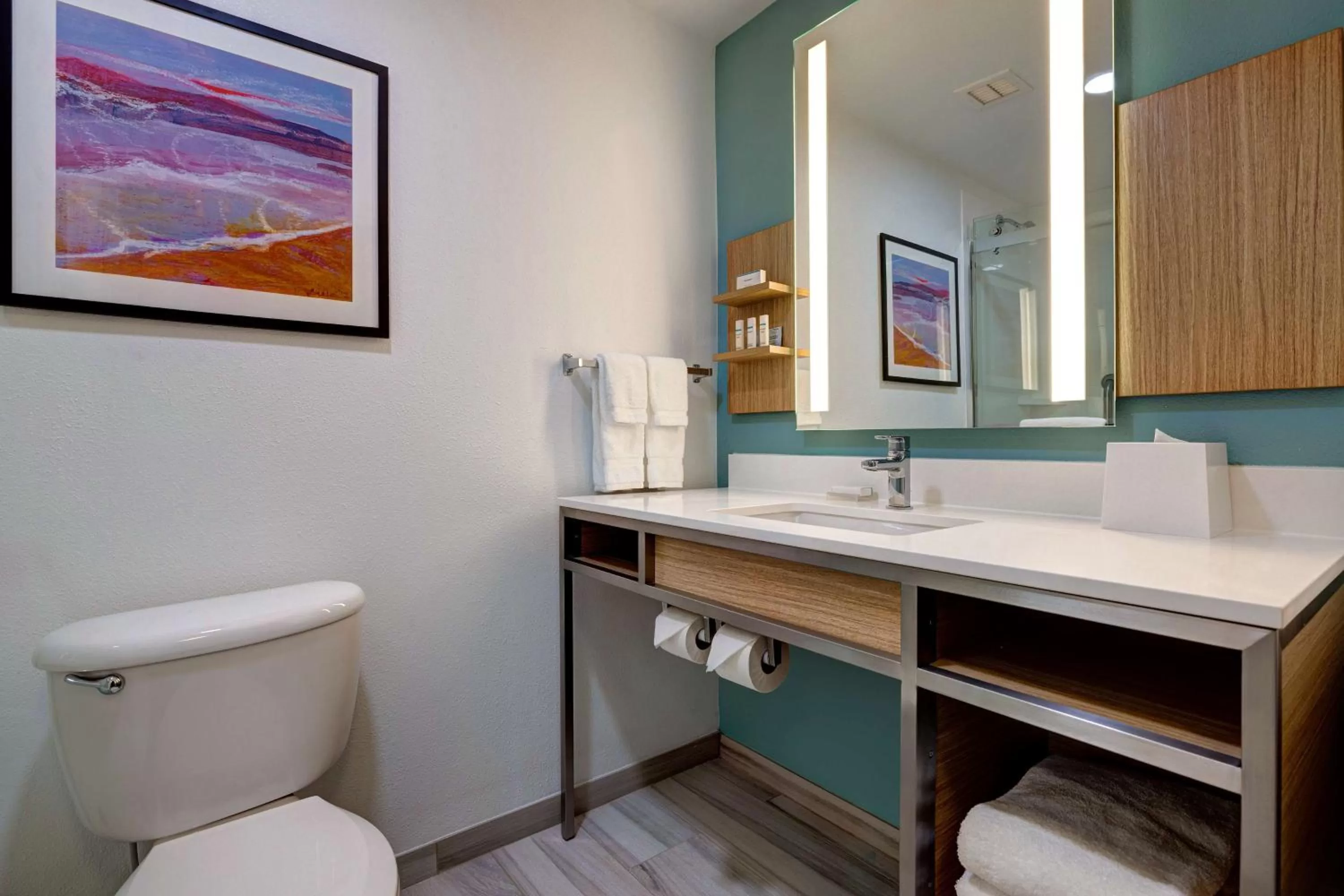 Bathroom in Hilton Garden Inn Tampa Northwest/Oldsmar