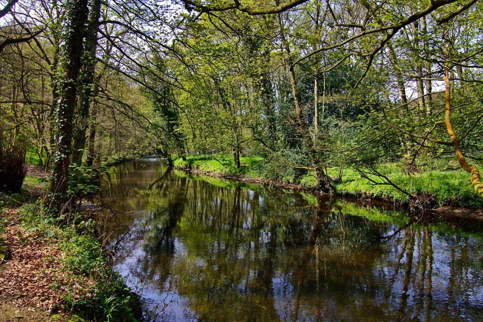Natural landscape in Wortley Cottage Guest House