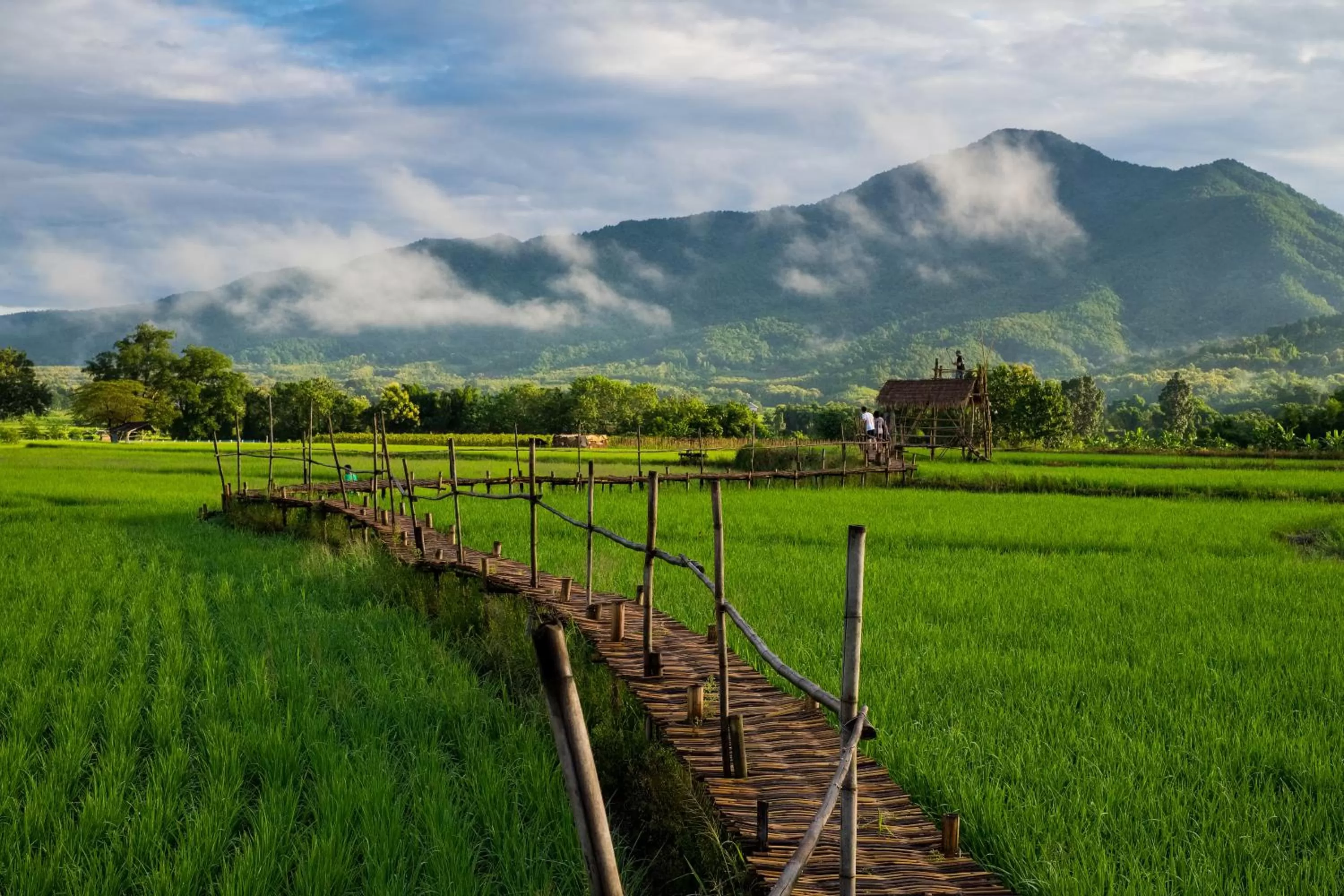 Nearby landmark in Pura Vida Pai Resort