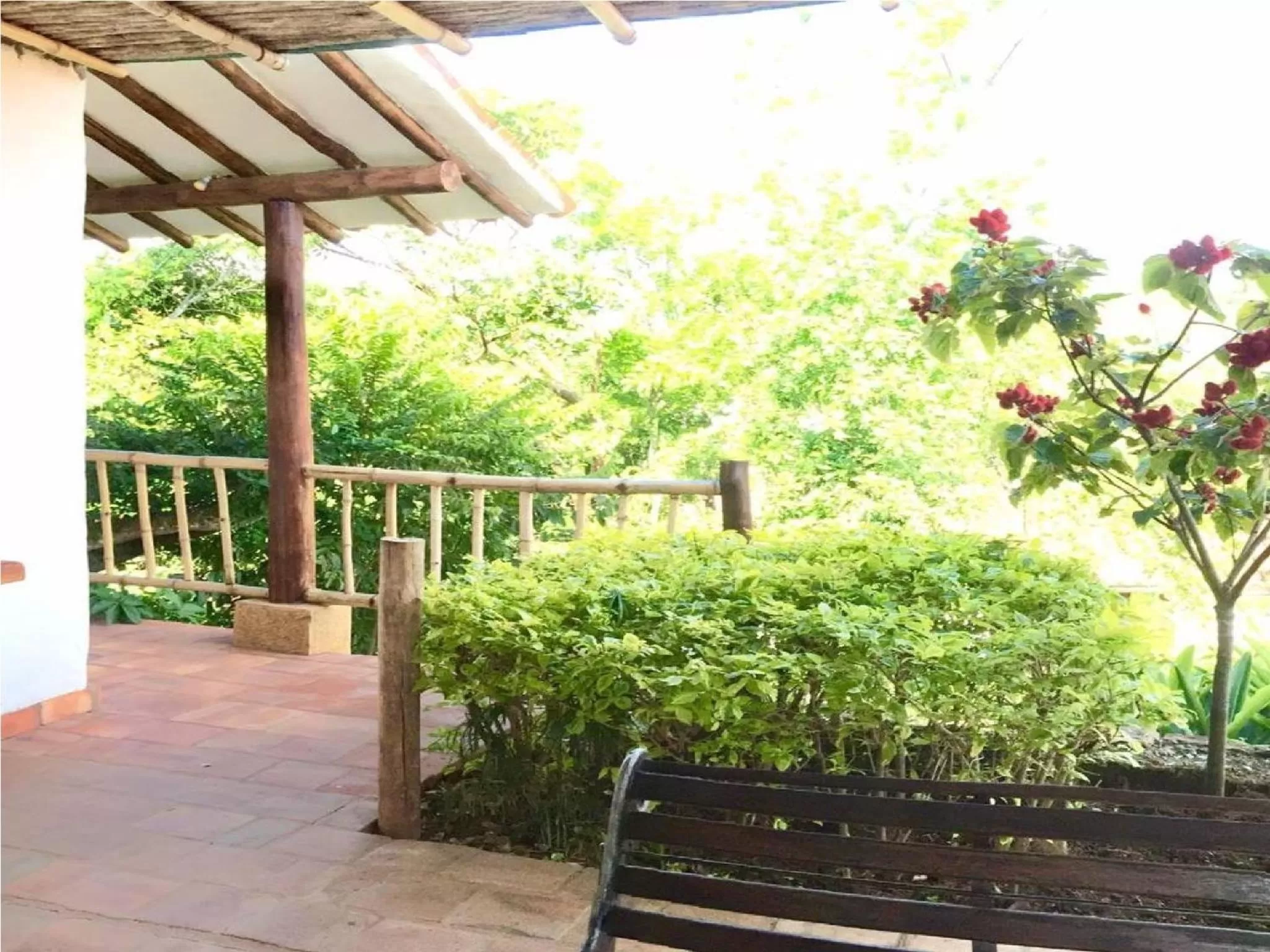 Garden in Achiotte by Masaya Collection