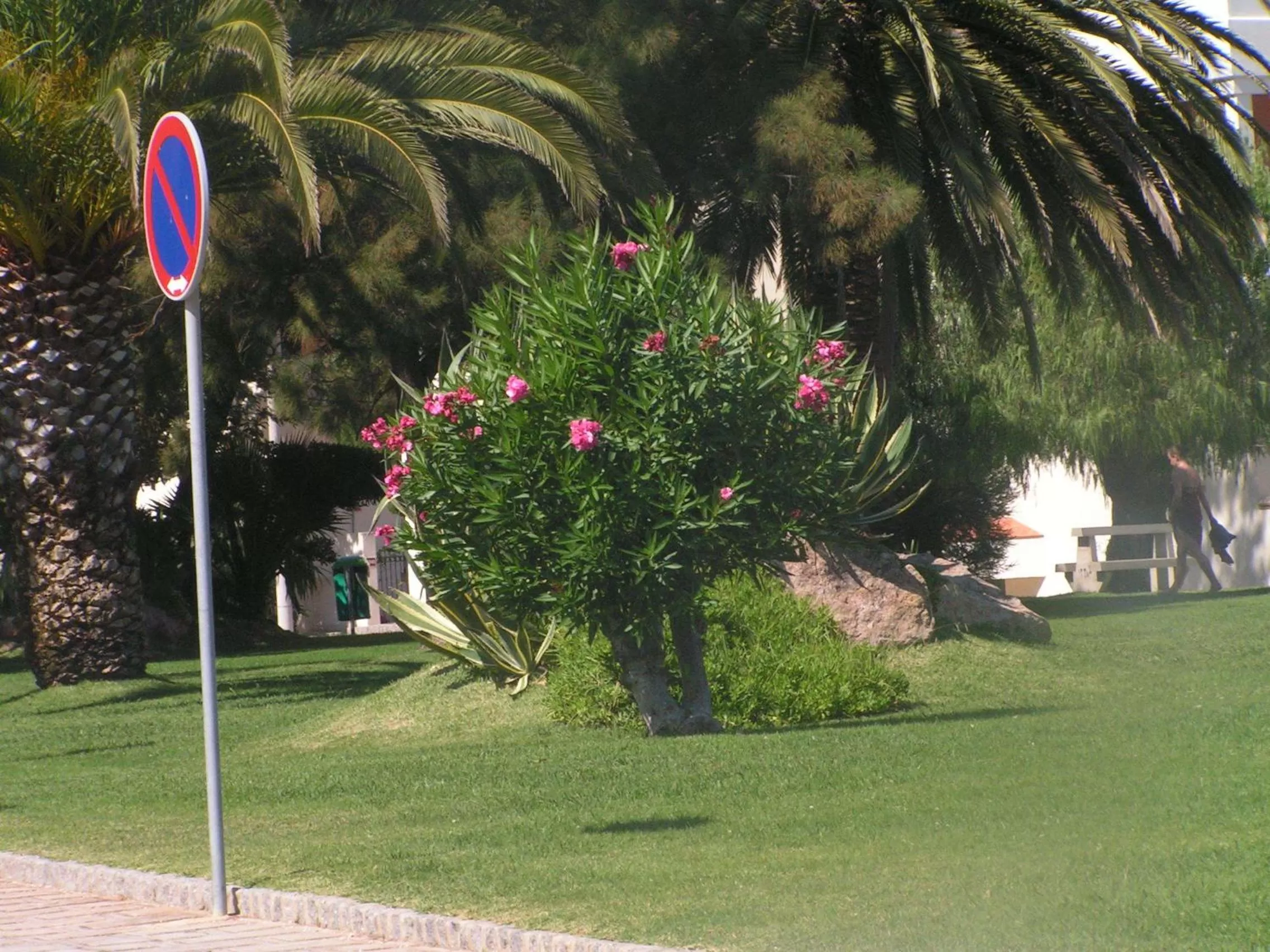 Garden in Iberlagos
