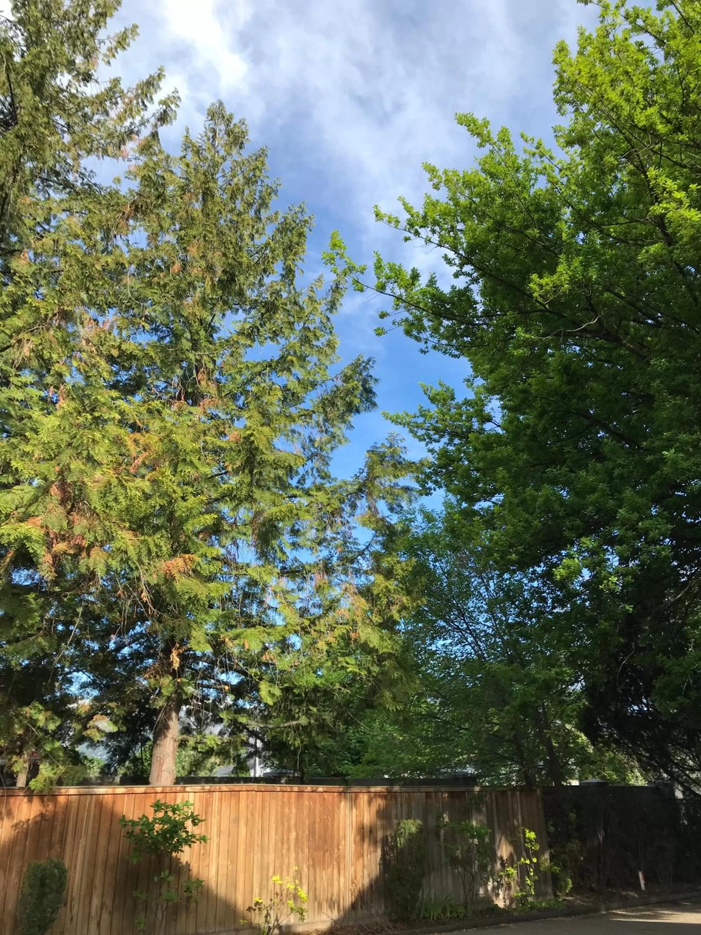 City view in Stirling House