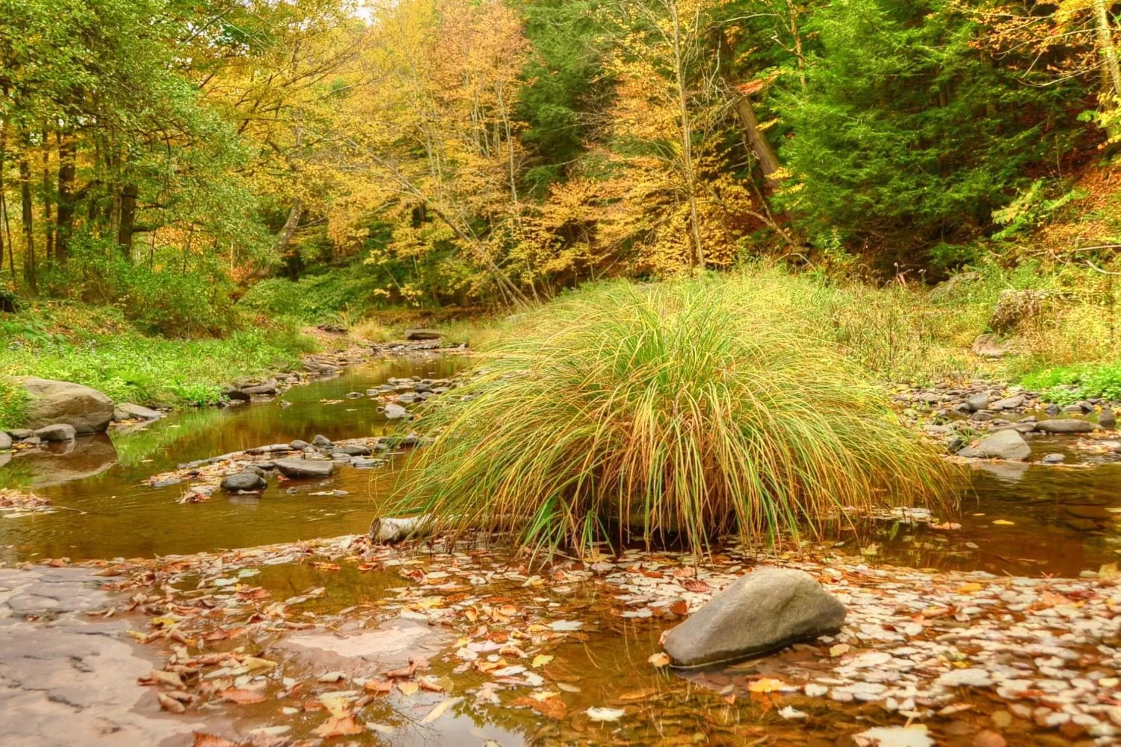 River view in Mountain Treasure Bed and Breakfast
