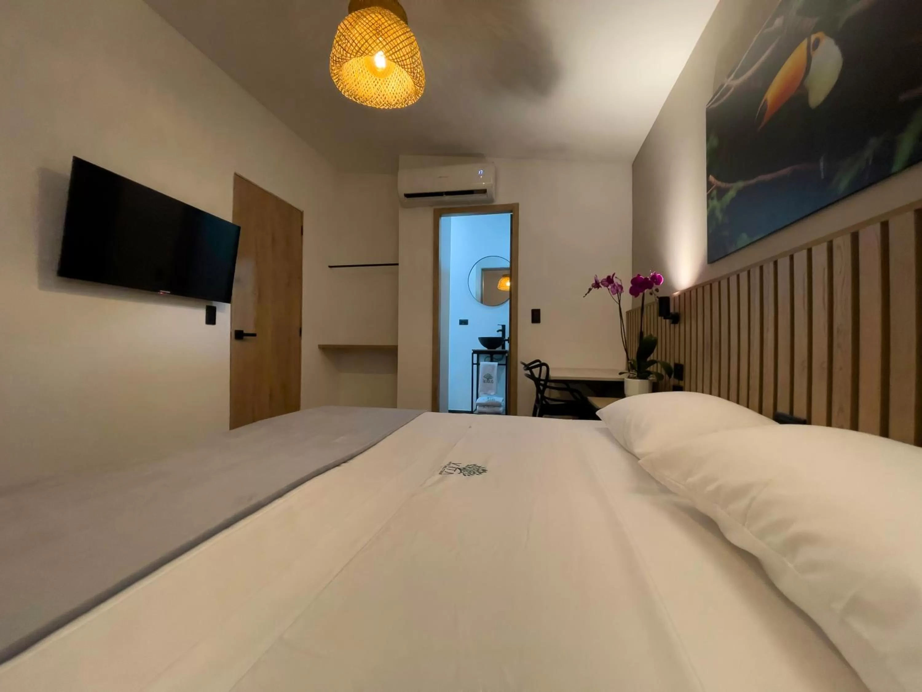 Photo of the whole room, Bed in Vita Hotel Boutique - Aire Acondicionado & Desayuno